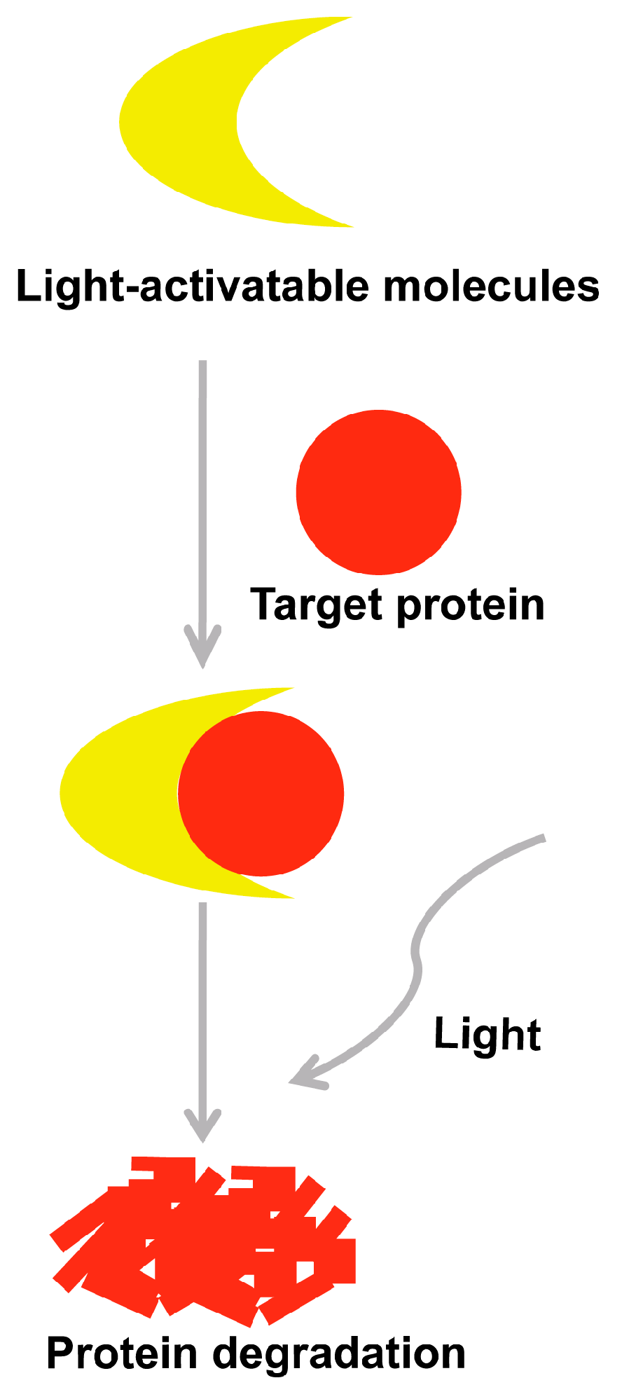 Molecules 22 00916 g004