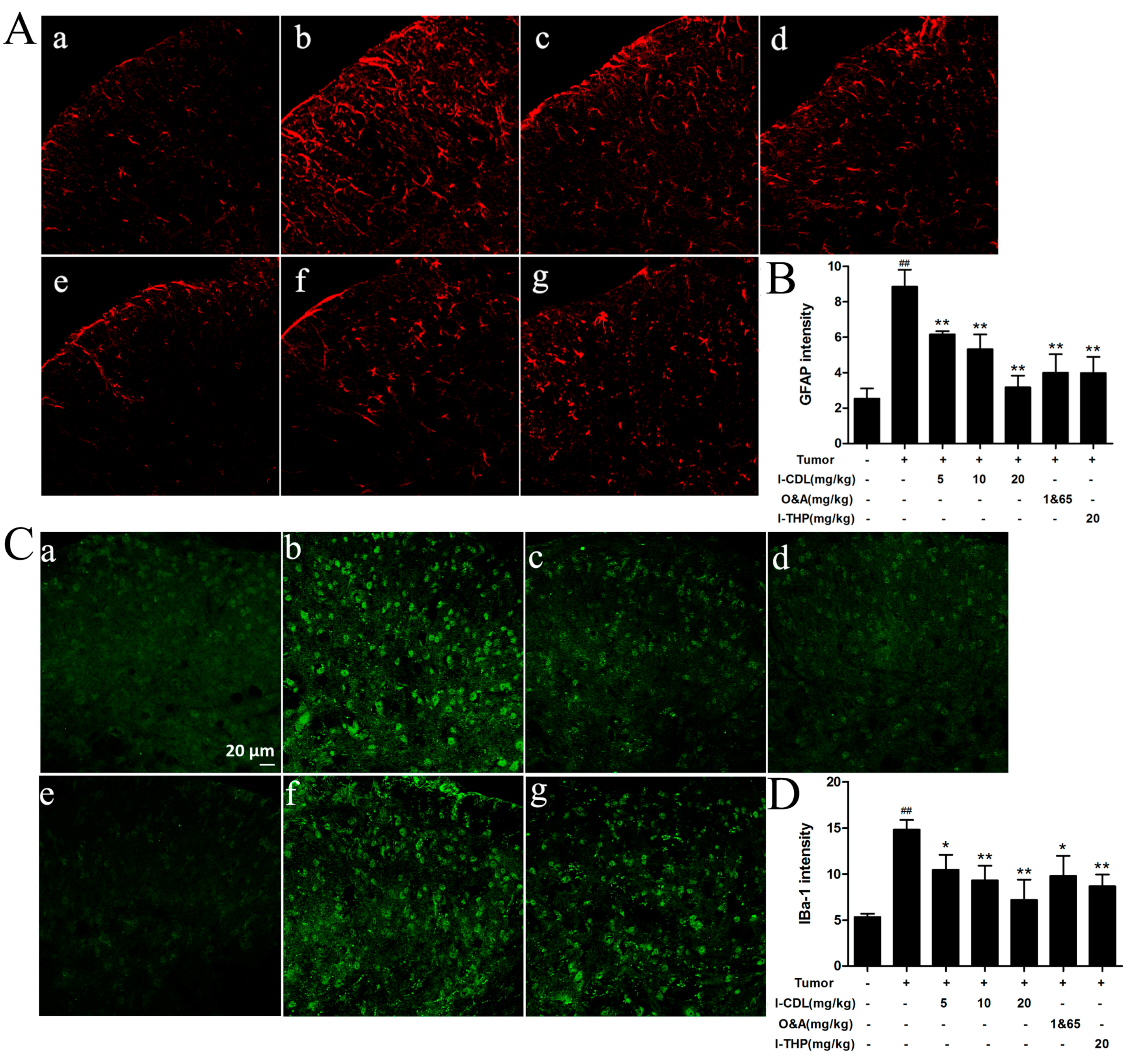 Molecules 22 00937 g004 550