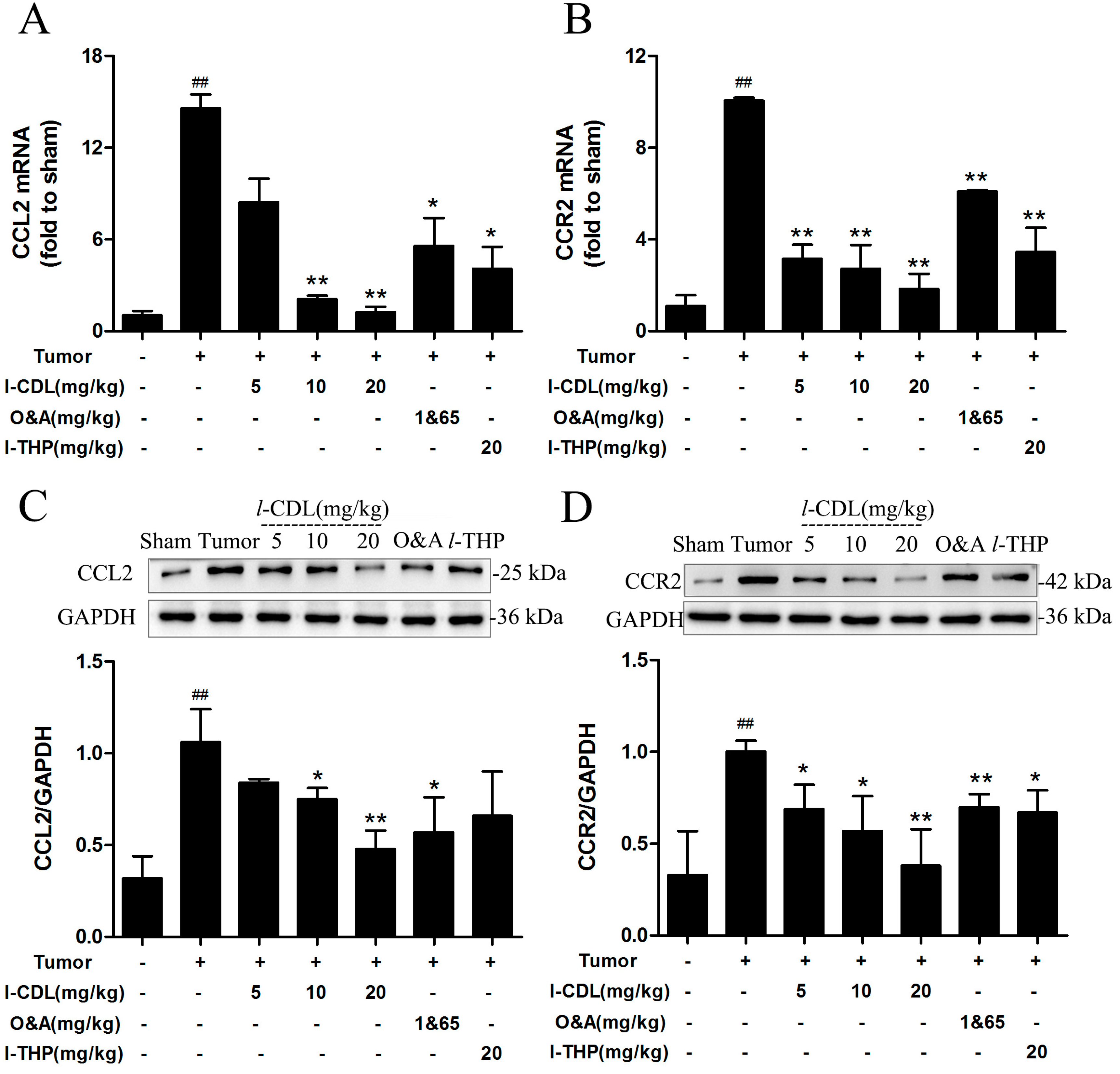 Molecules 22 00937 g005 550