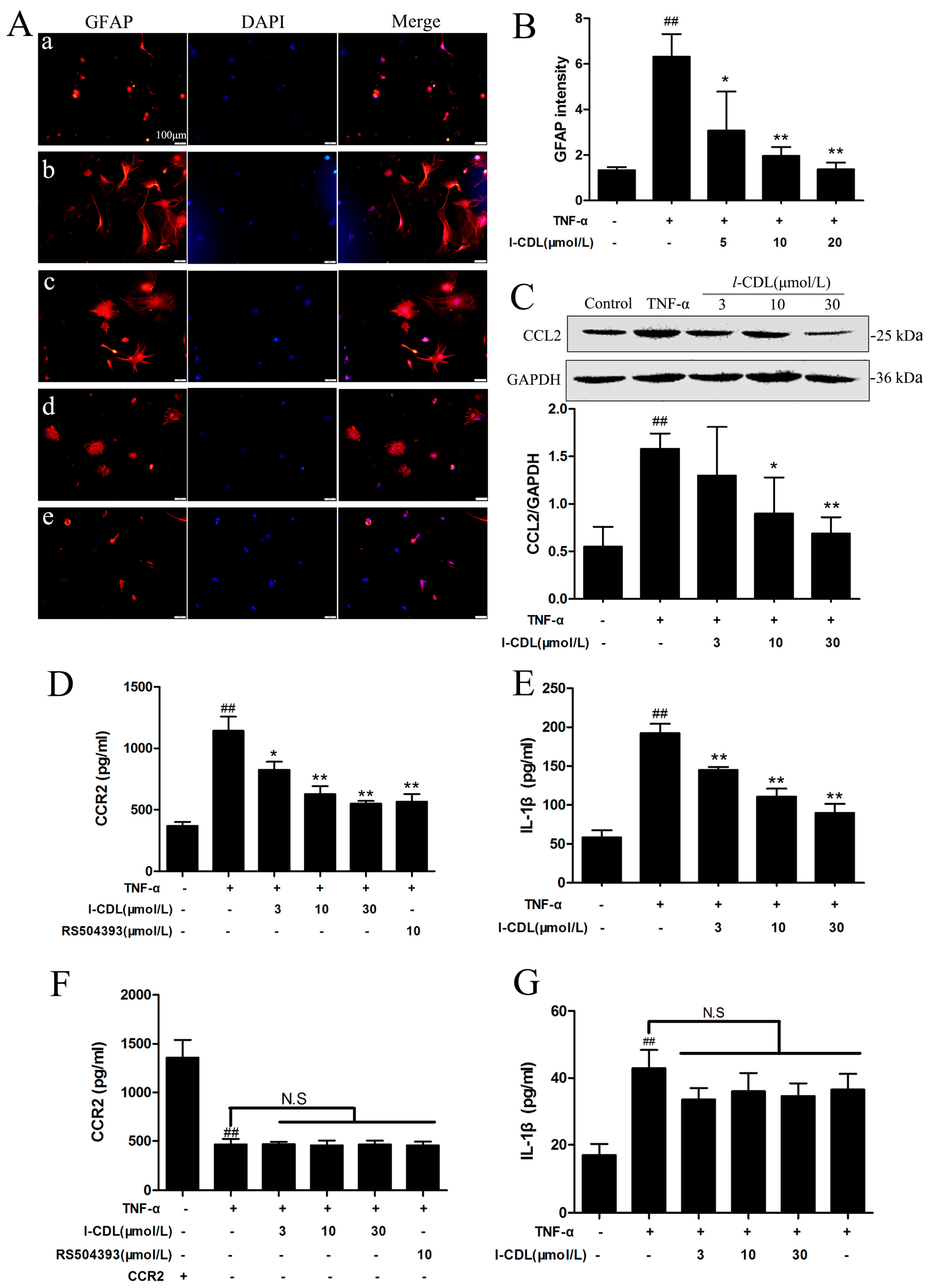 Molecules 22 00937 g006 550