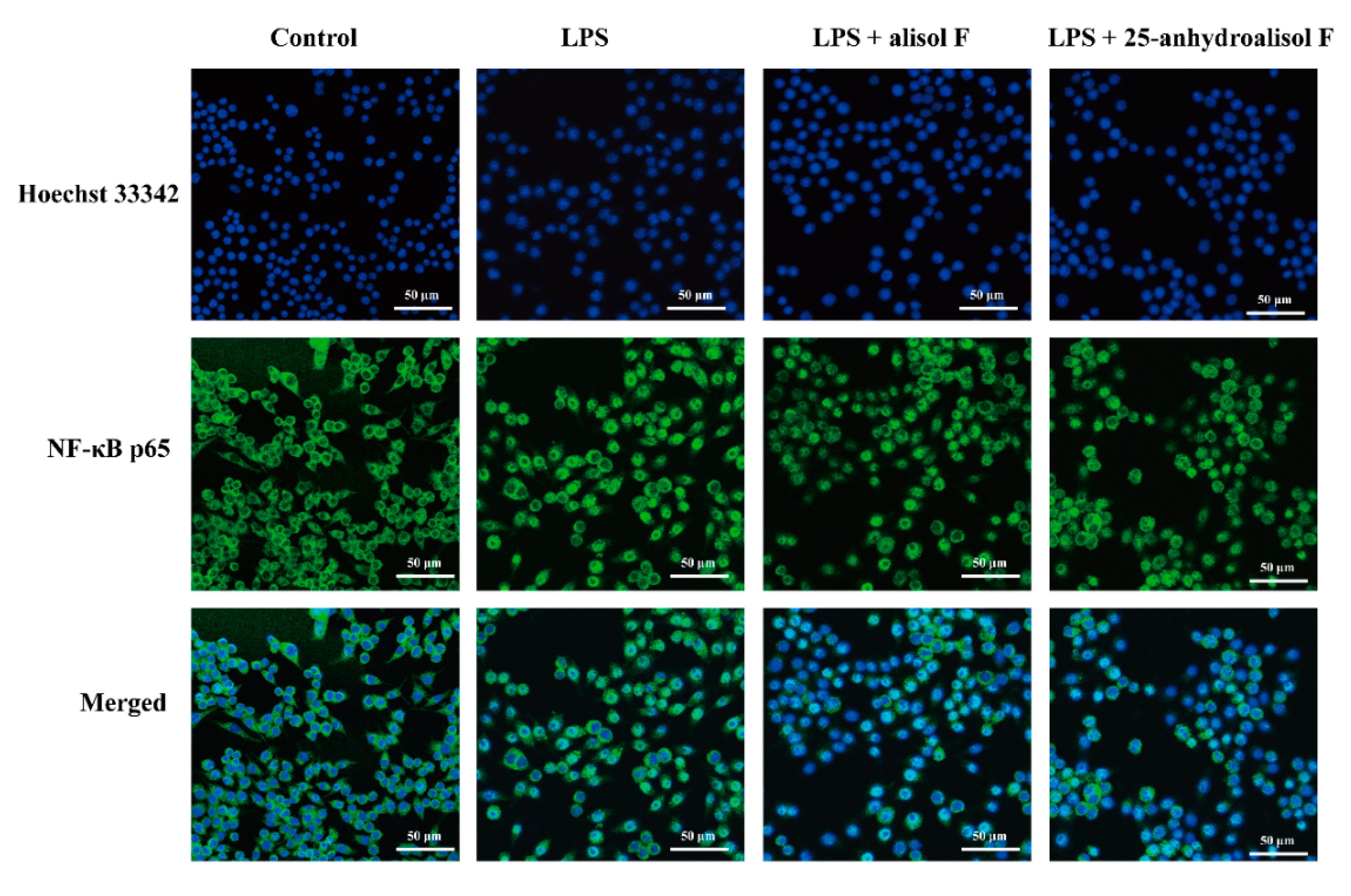 Molecules 22 00951 g005 550