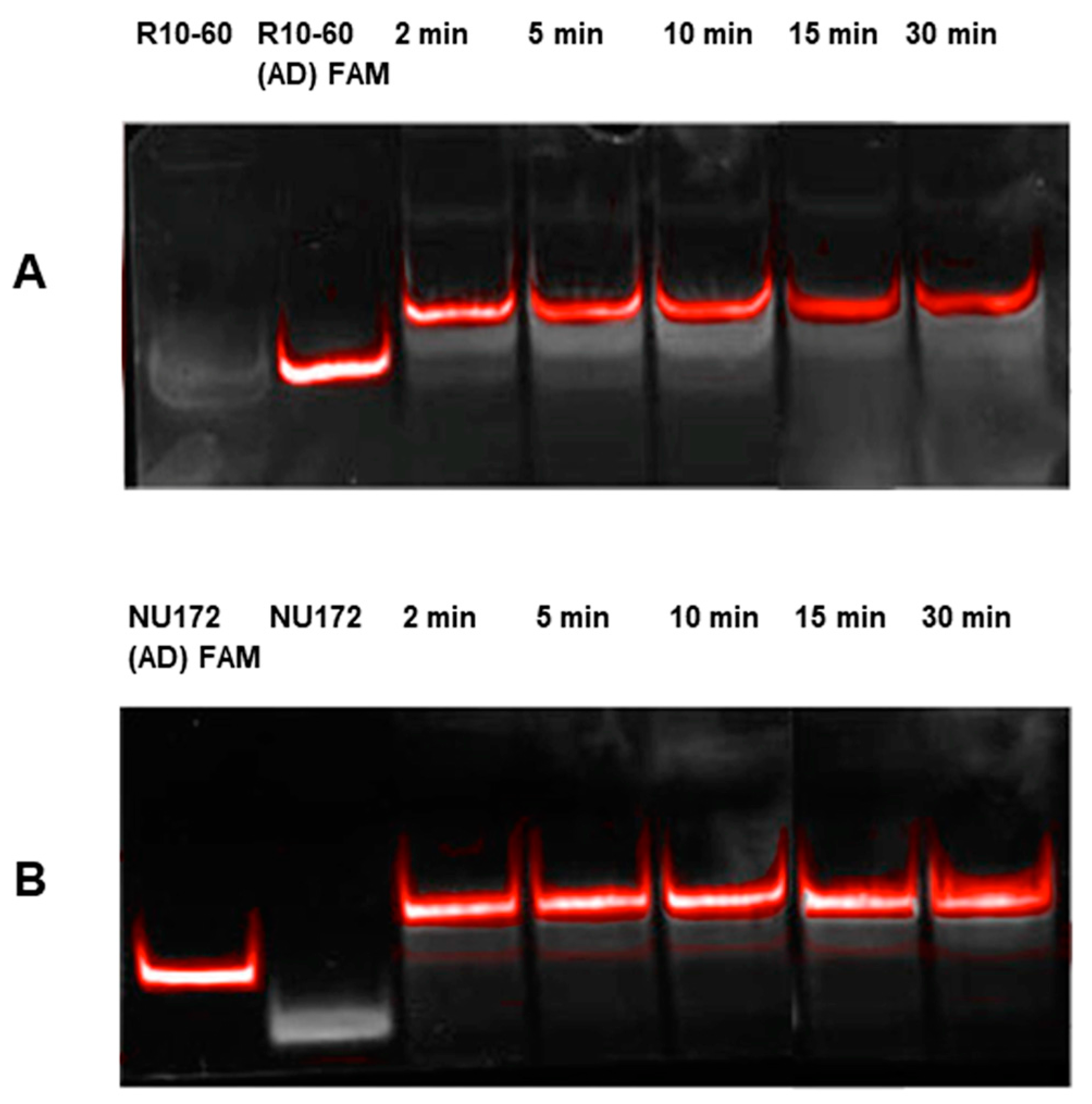 Molecules 22 00954 g001 550
