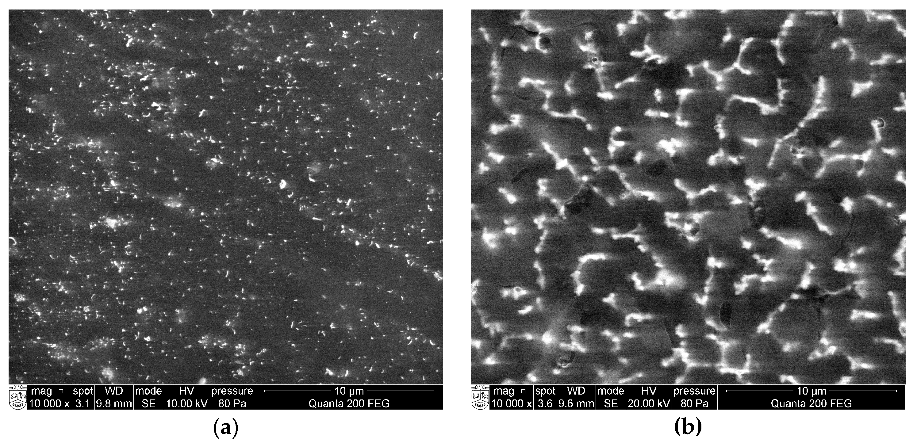 Molecules 22 00964 g004