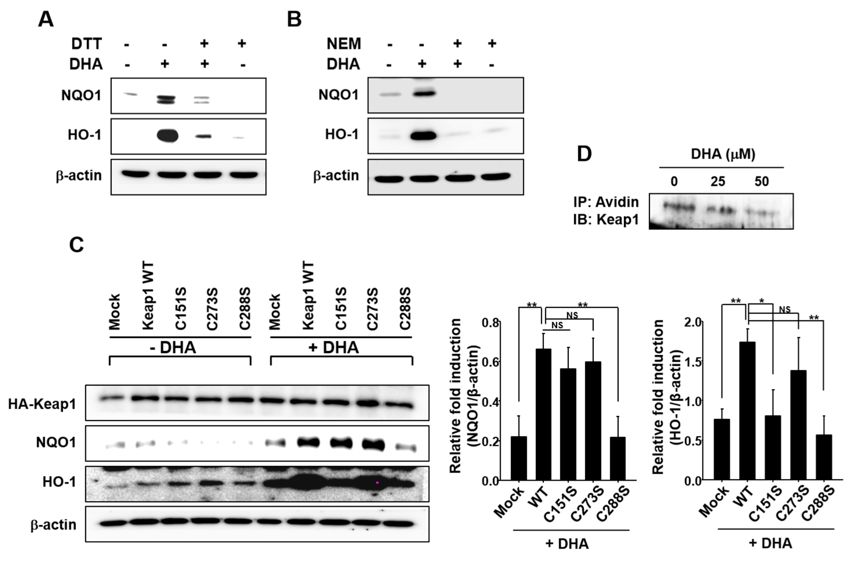 Molecules 22 00969 g004 550