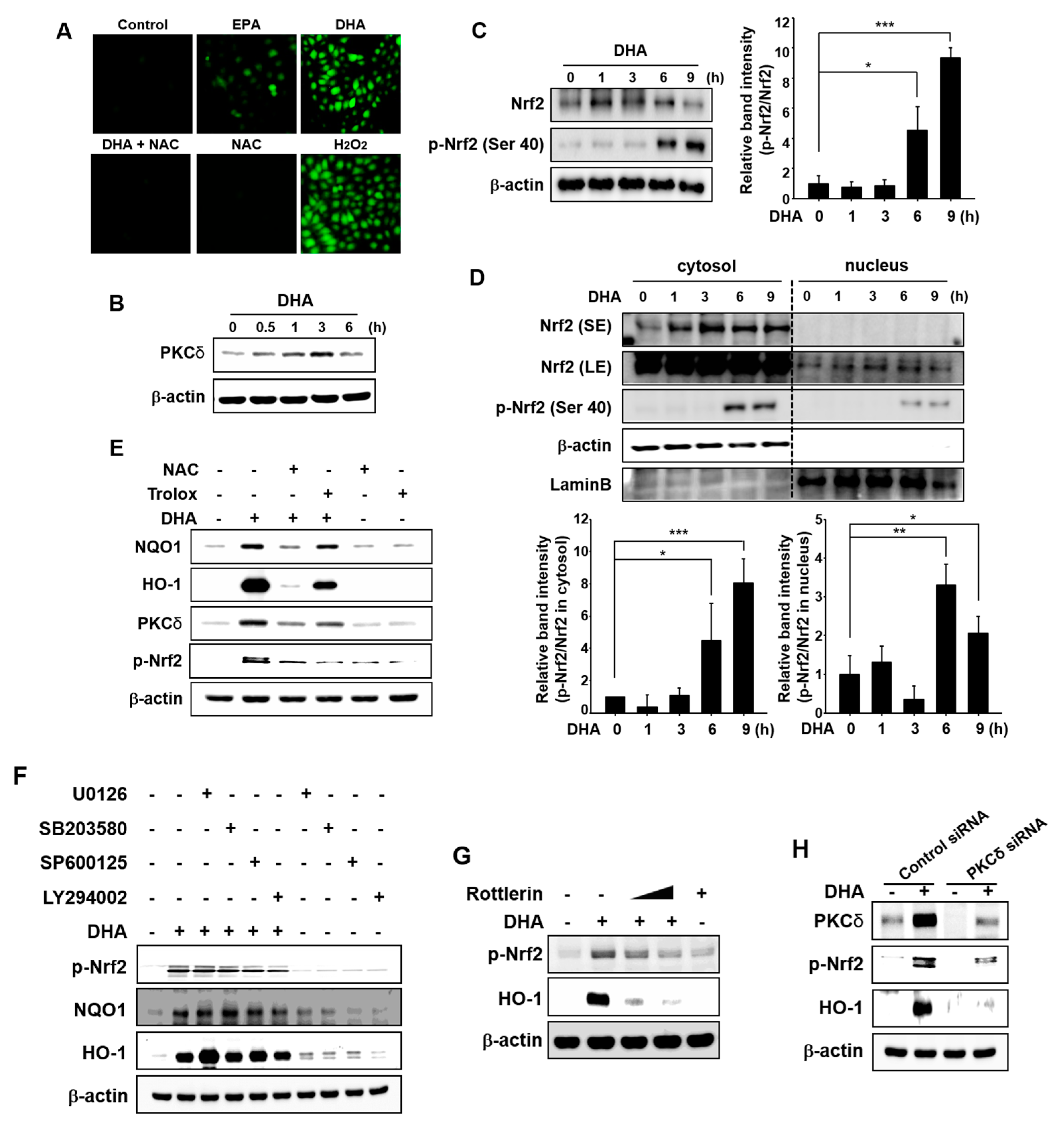Molecules 22 00969 g005 550
