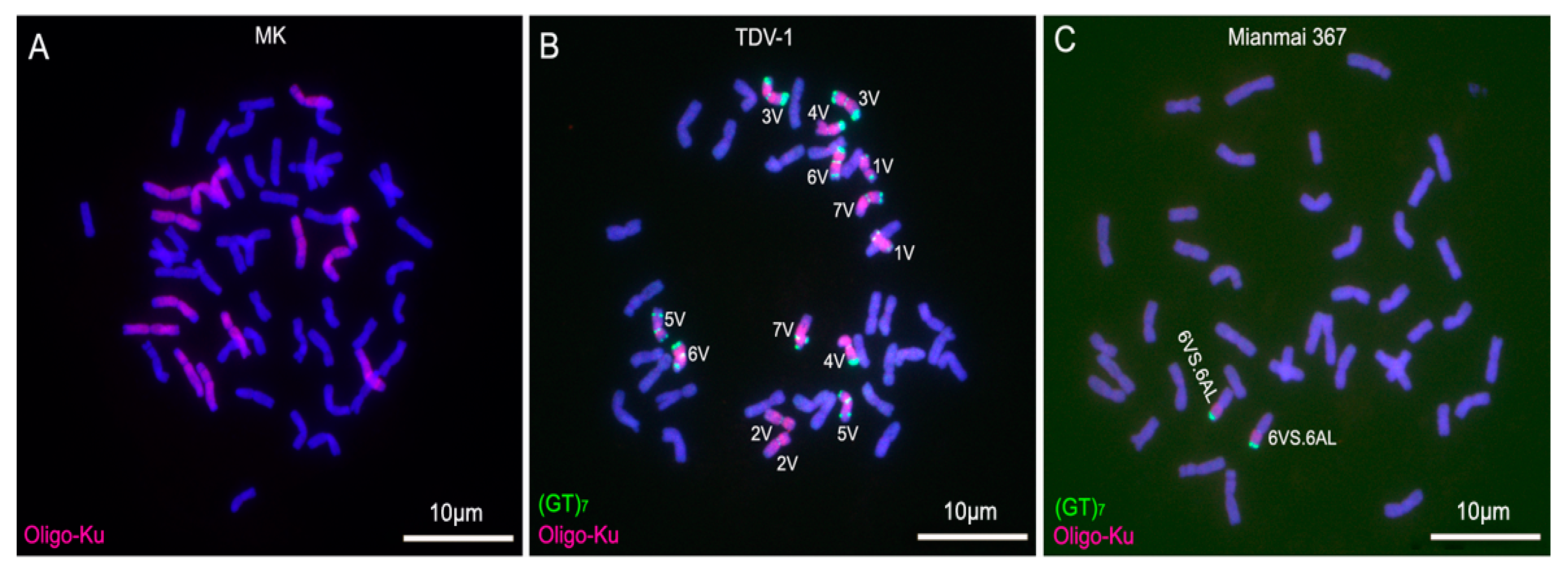 Molecules 22 00973 g005