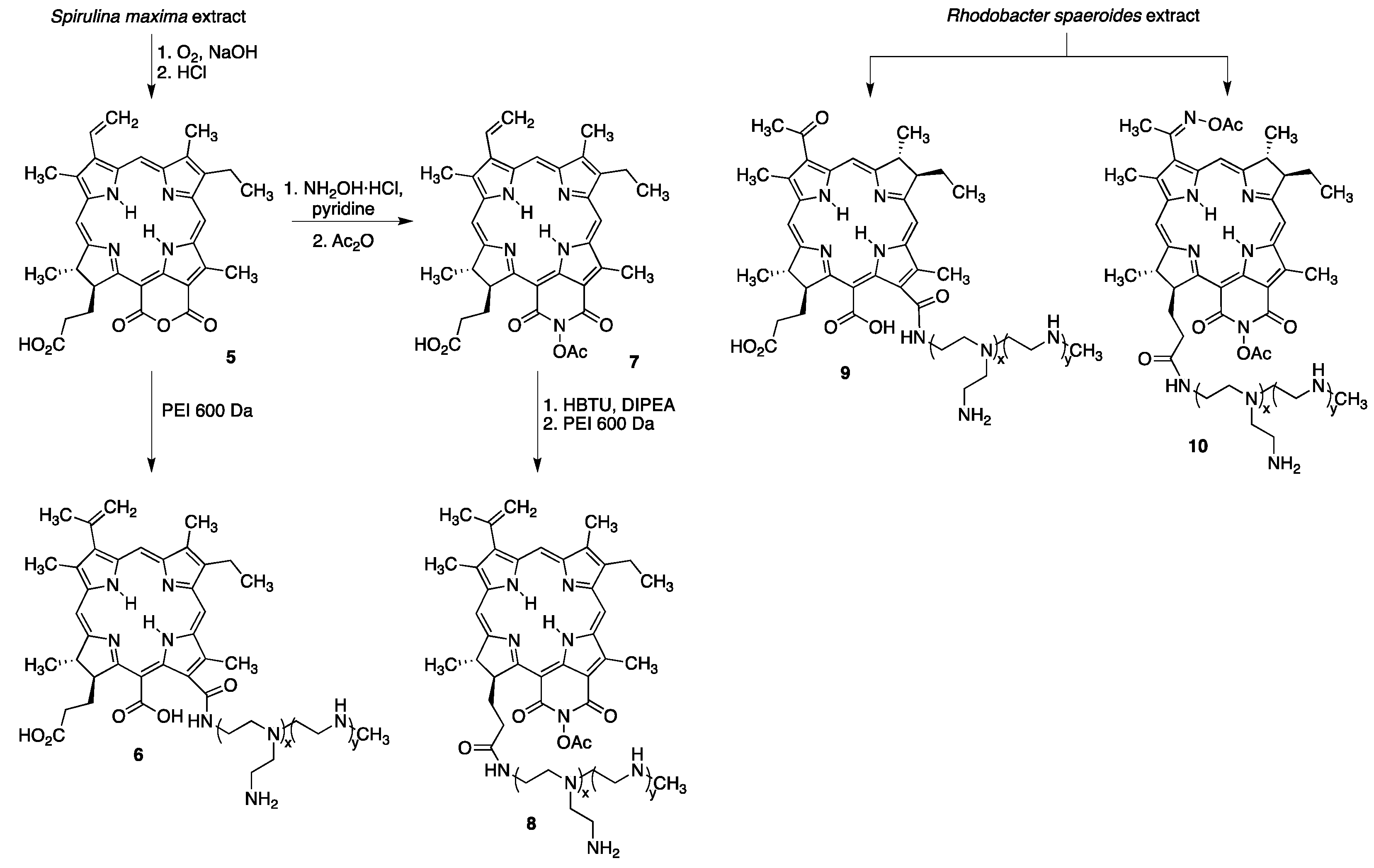 Molecules 22 00980 sch003