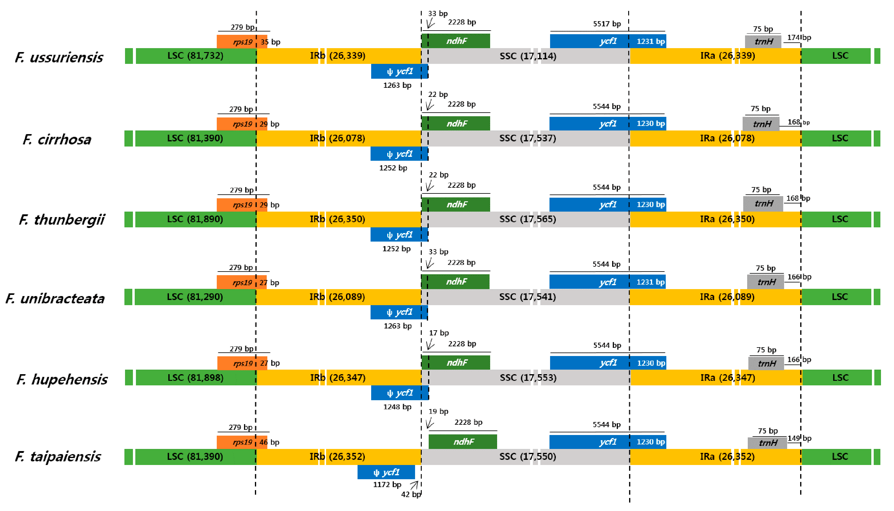 Molecules 22 00982 g004 550