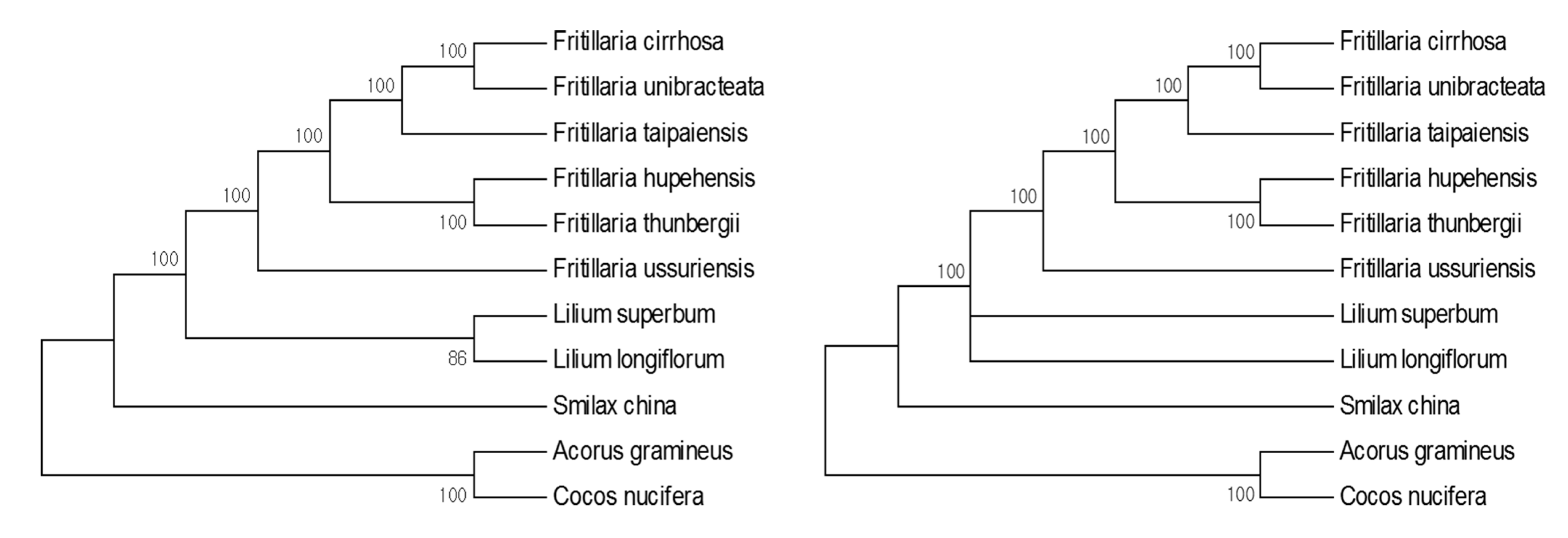 Molecules 22 00982 g007 550