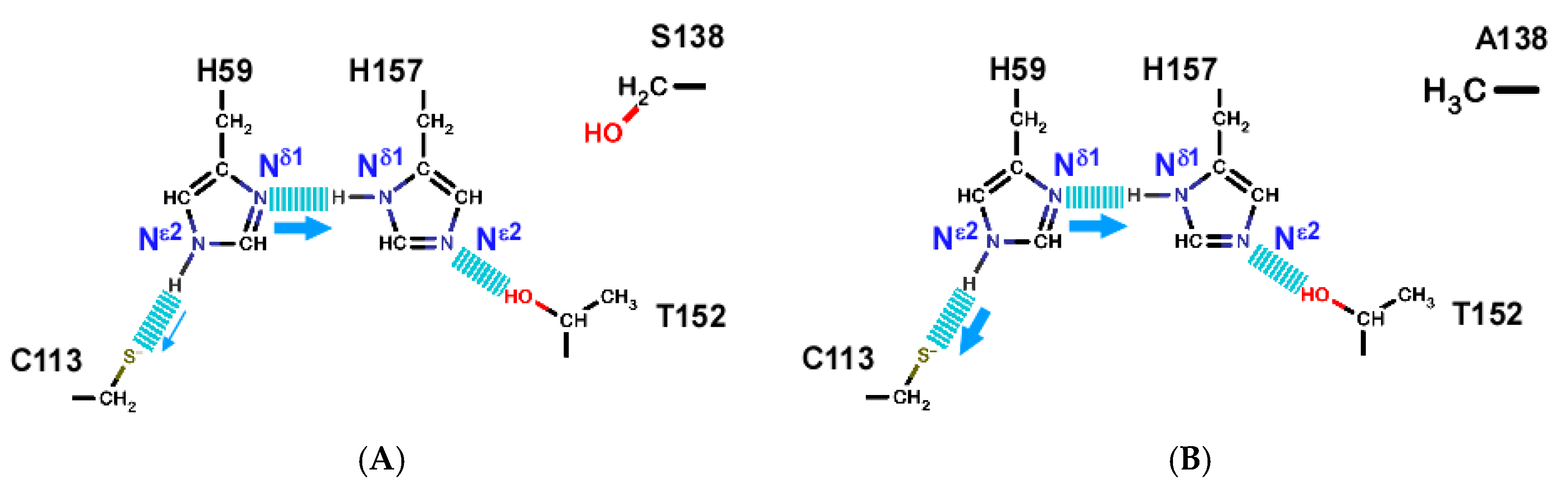 Molecules 22 00992 g007