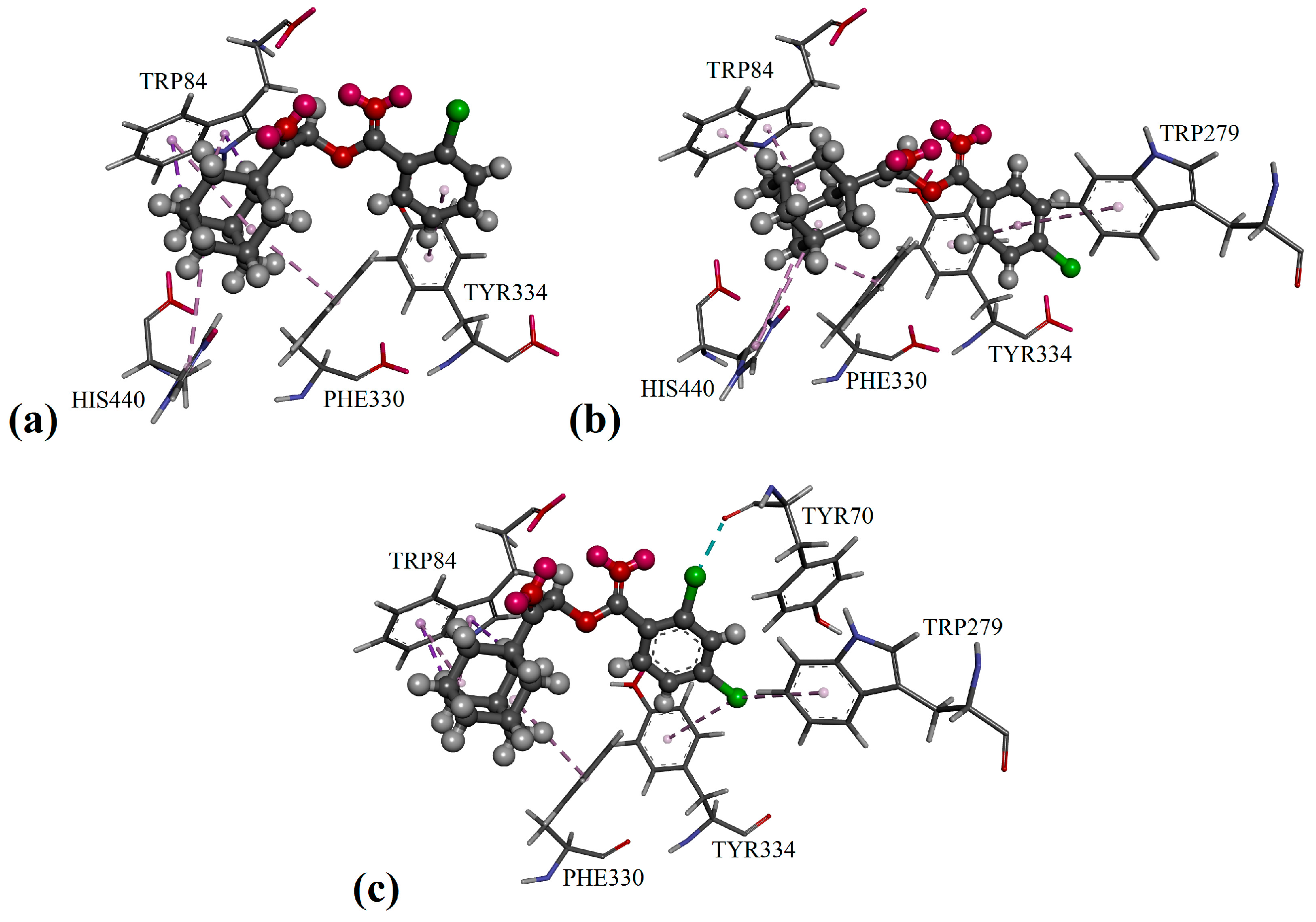 Molecules 22 01005 g003