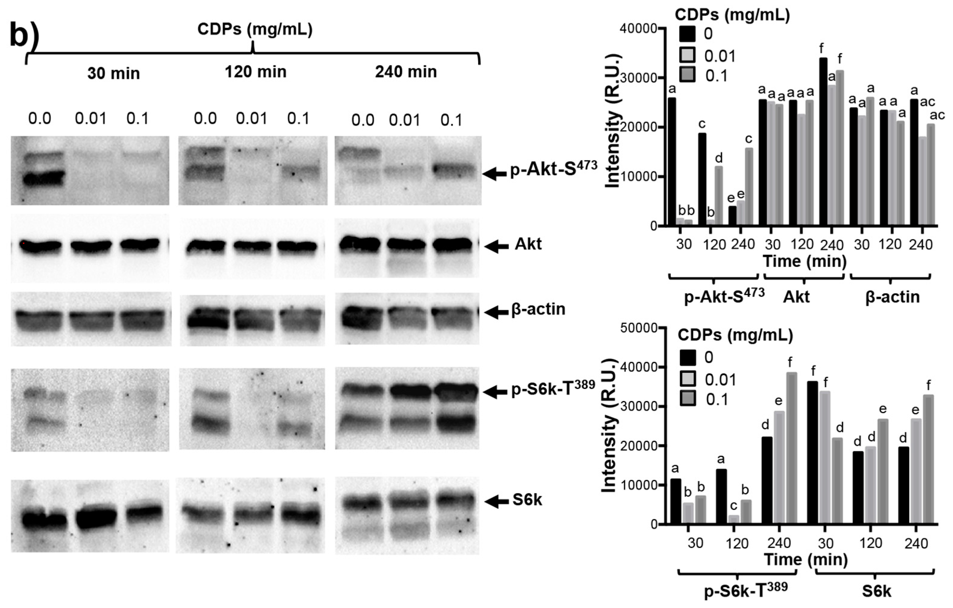 Molecules 22 01024 g005b 550