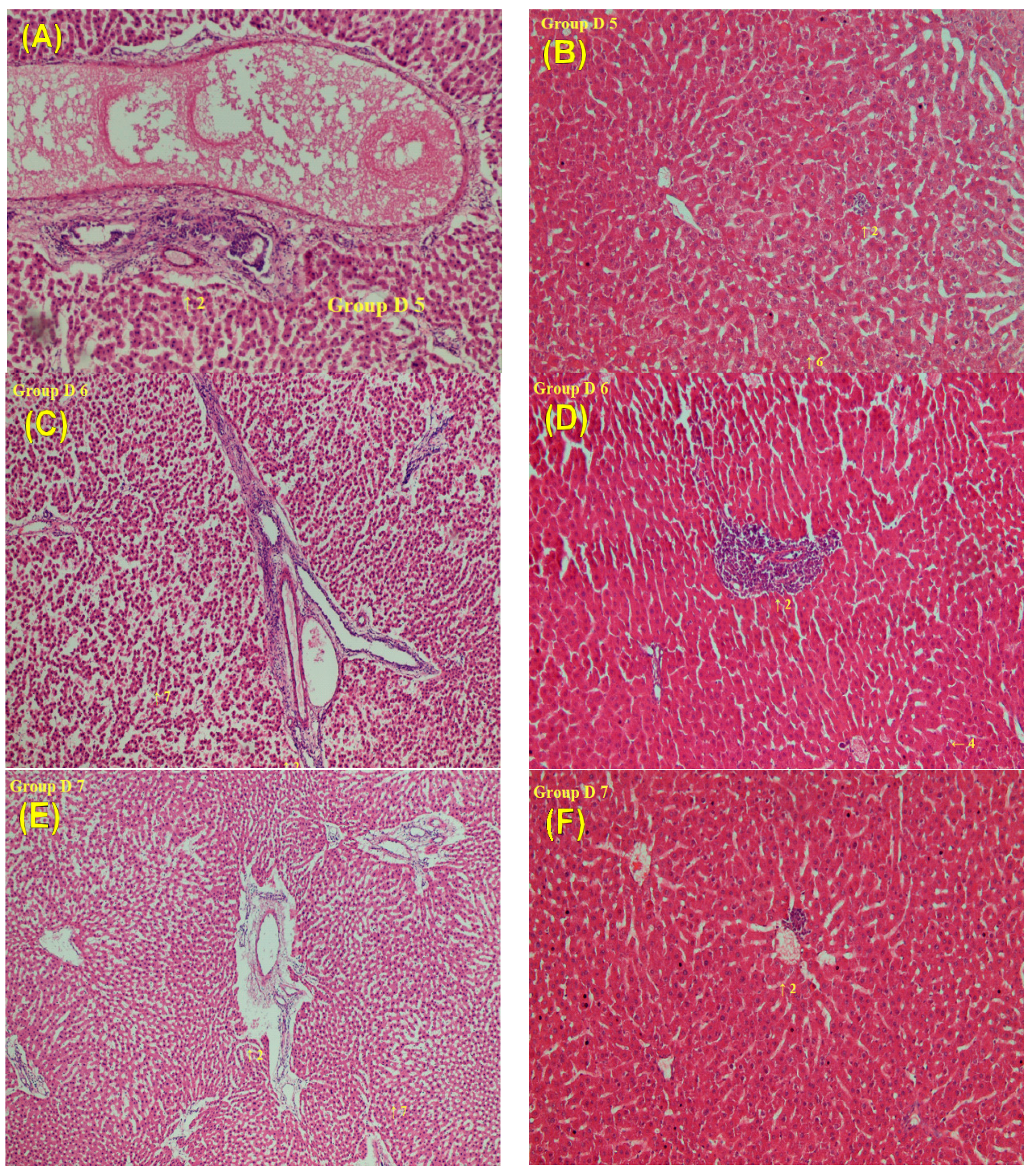 Molecules 22 01034 g005