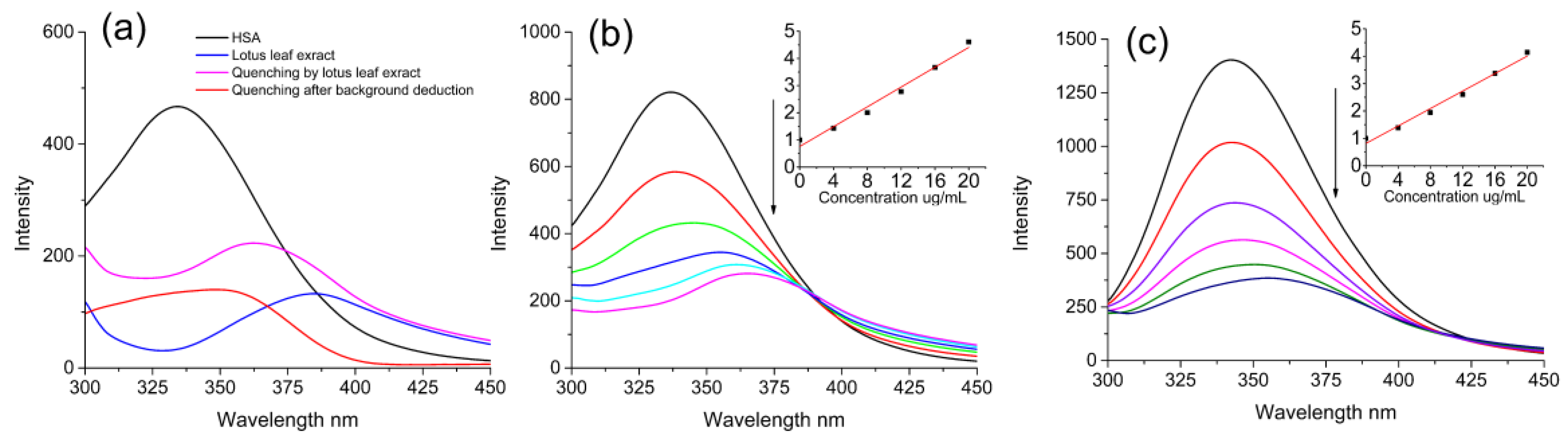 Molecular Structure–Affinity Relationship of Flavonoids in