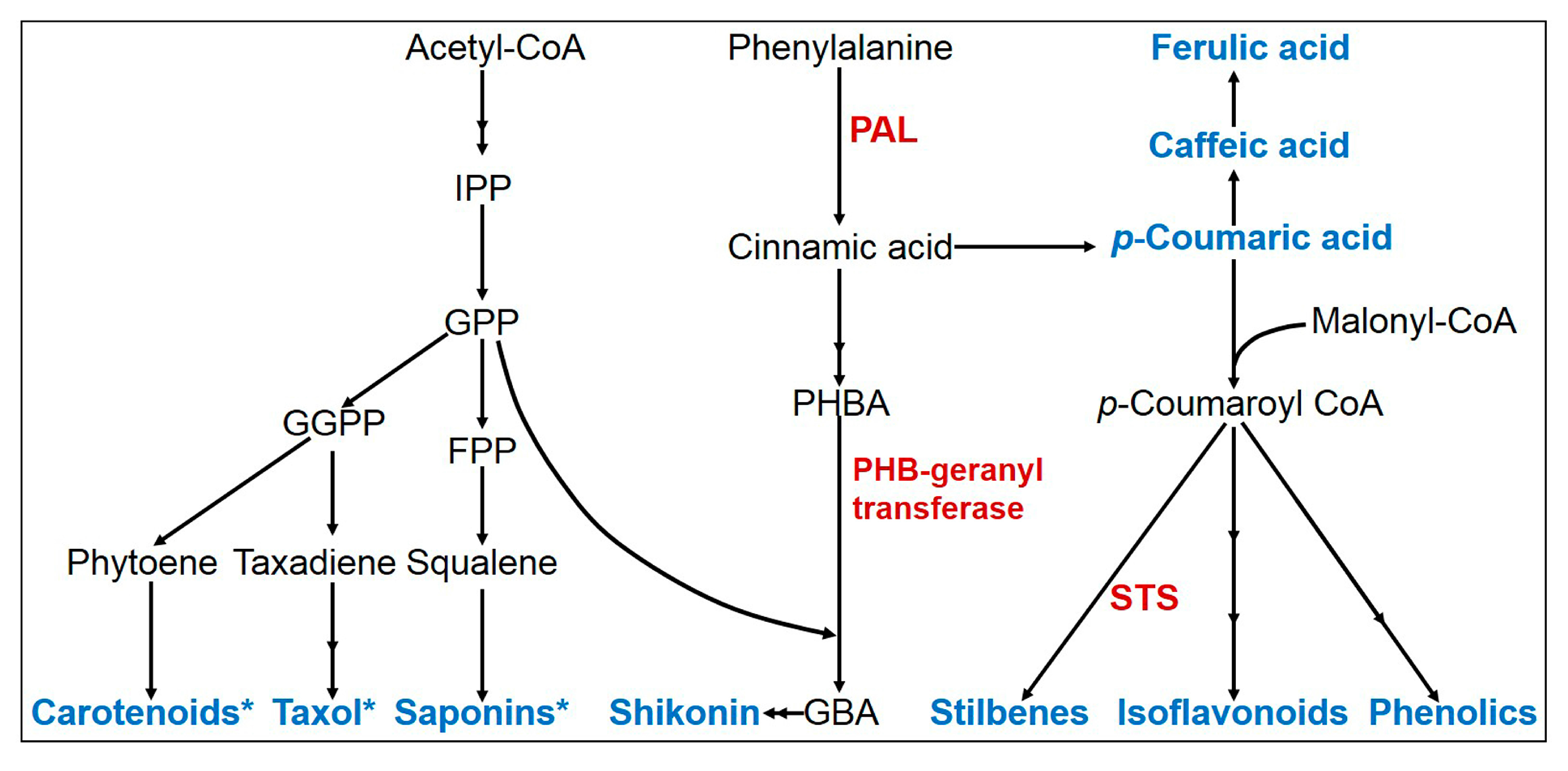 Molecules 22 01046 g002