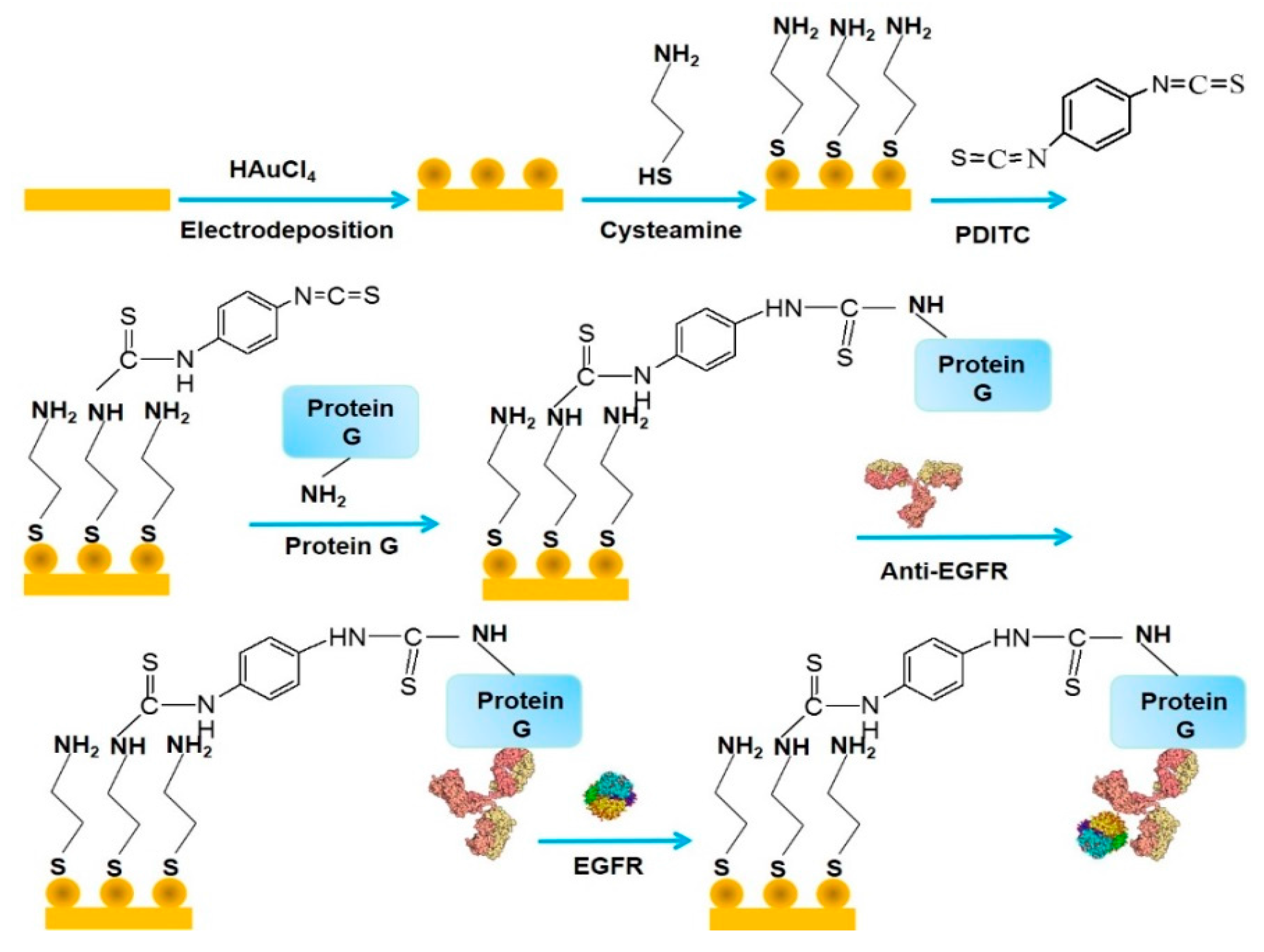 Molecules 22 01048 g002