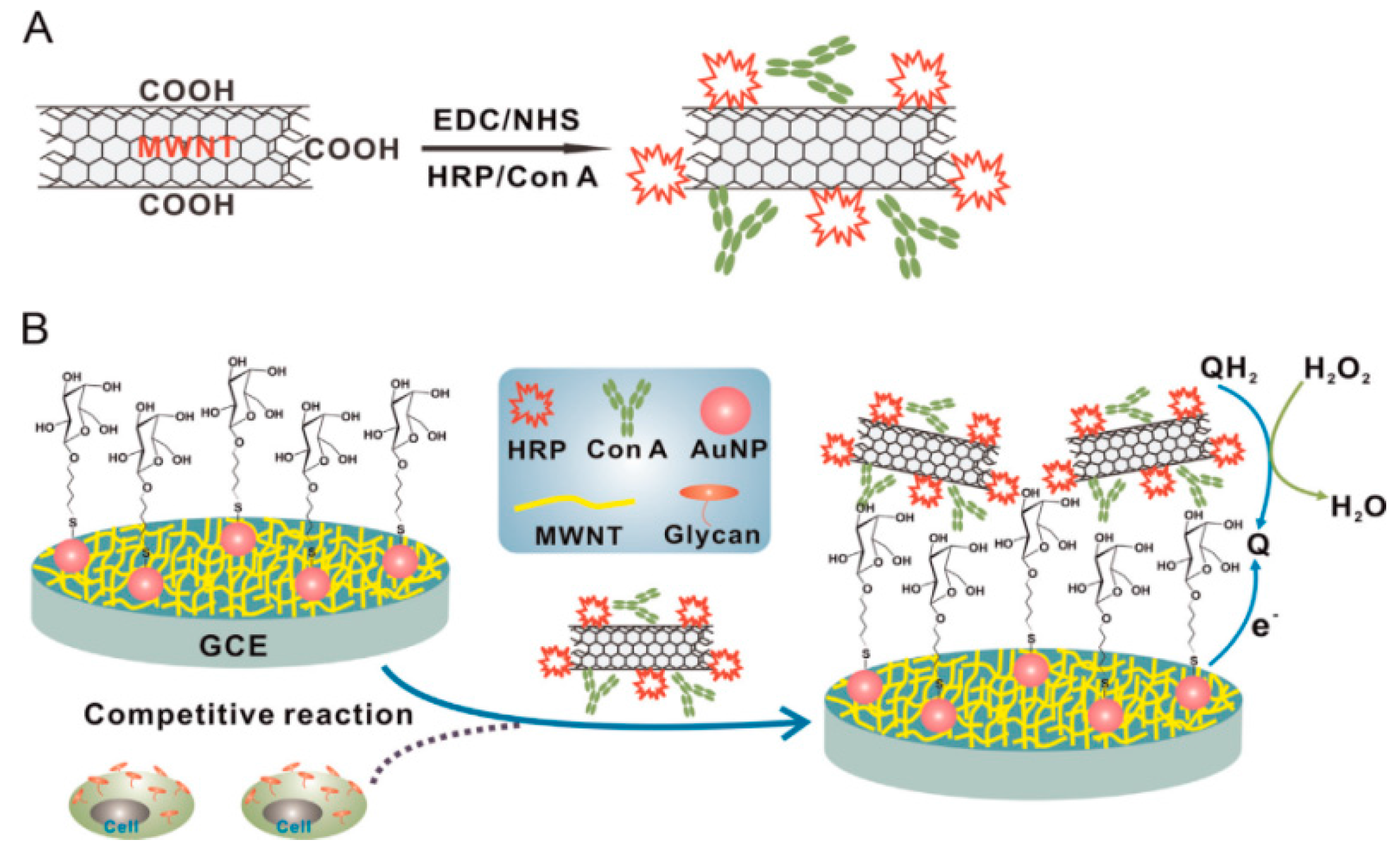 Molecules 22 01048 g008