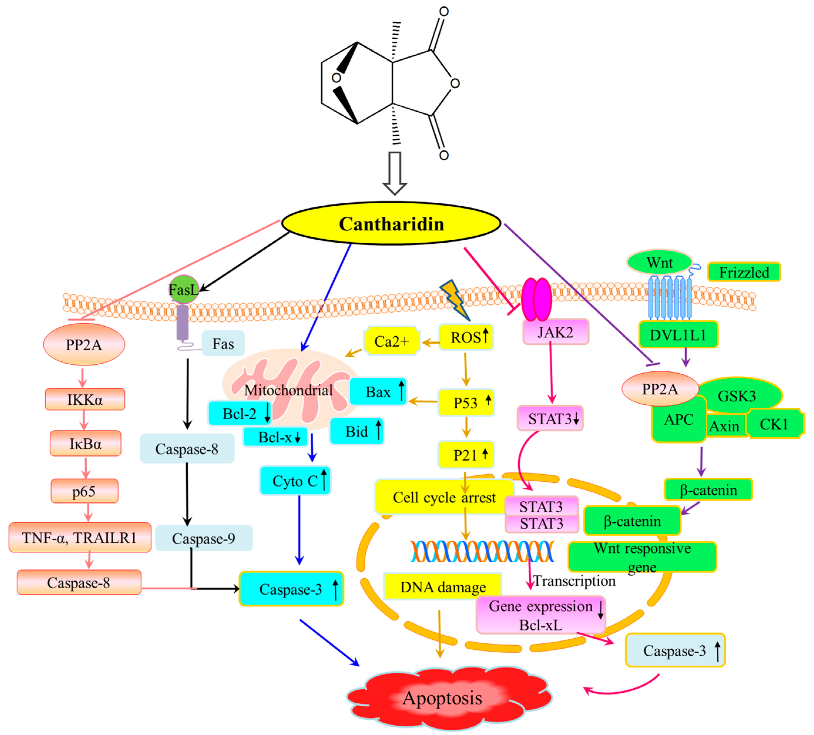 Molecules 22 01052 g001
