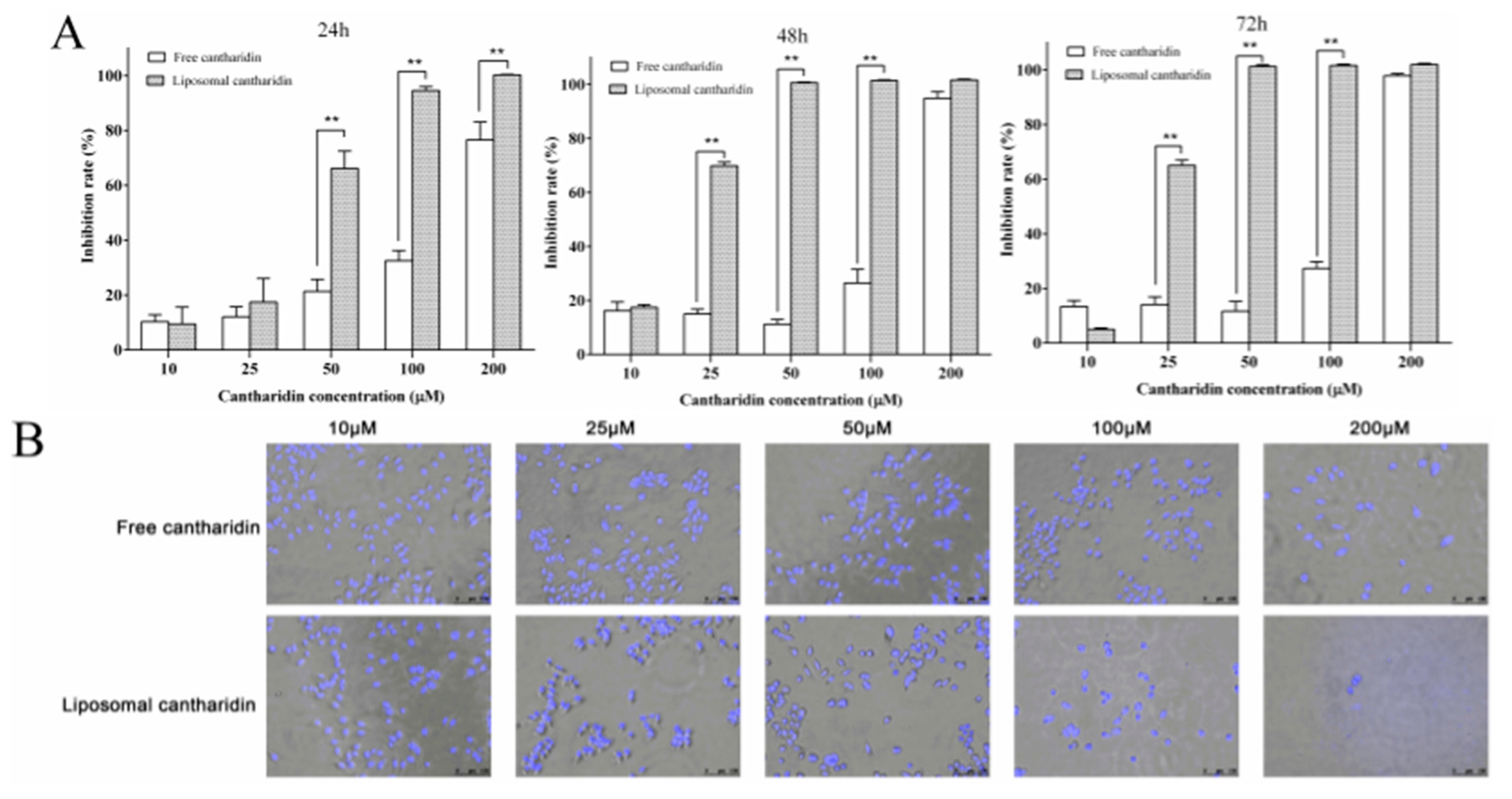 Molecules 22 01052 g003