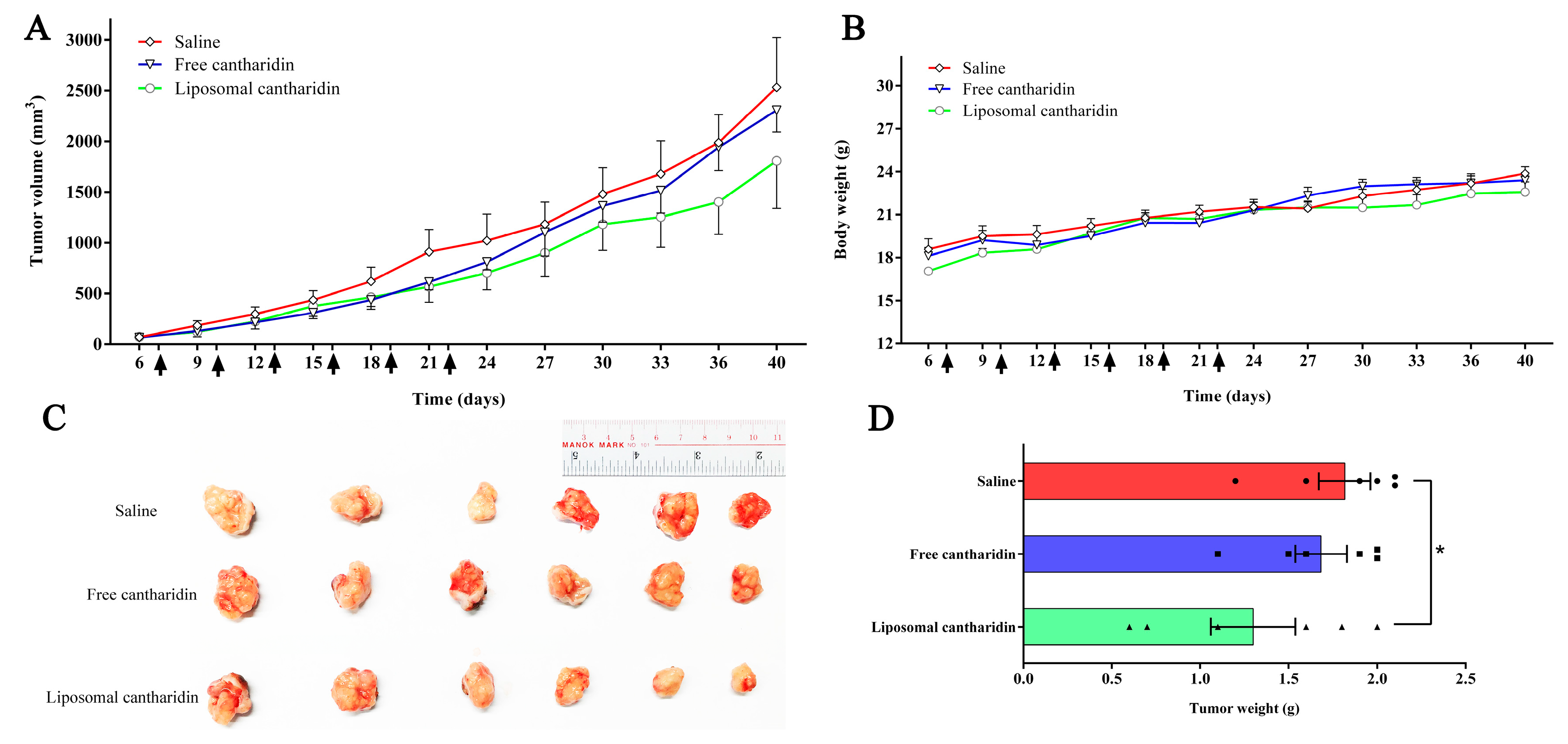 Molecules 22 01052 g005