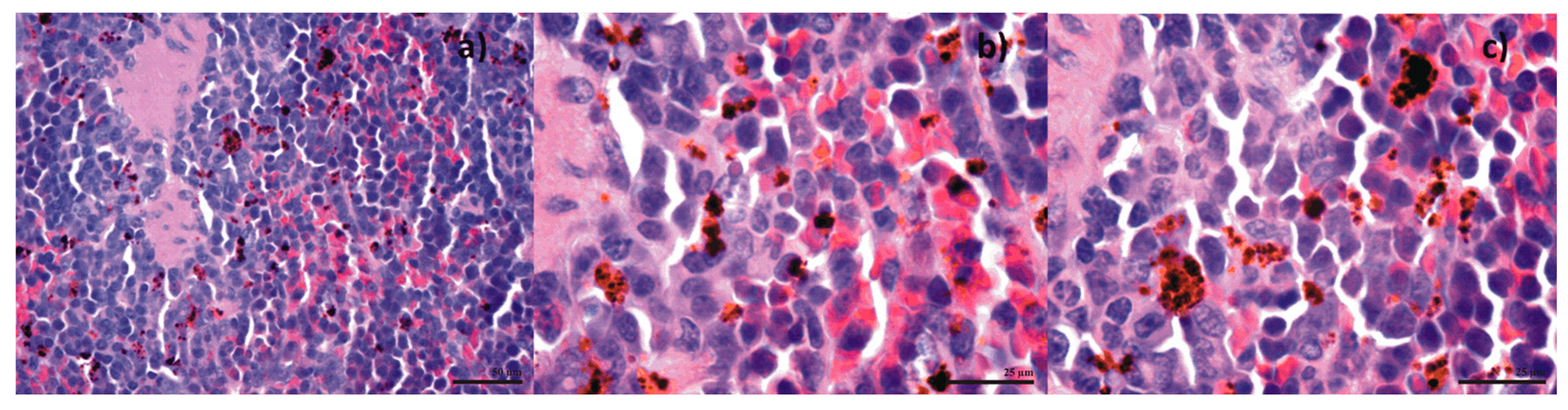 Molecules 22 01080 g024