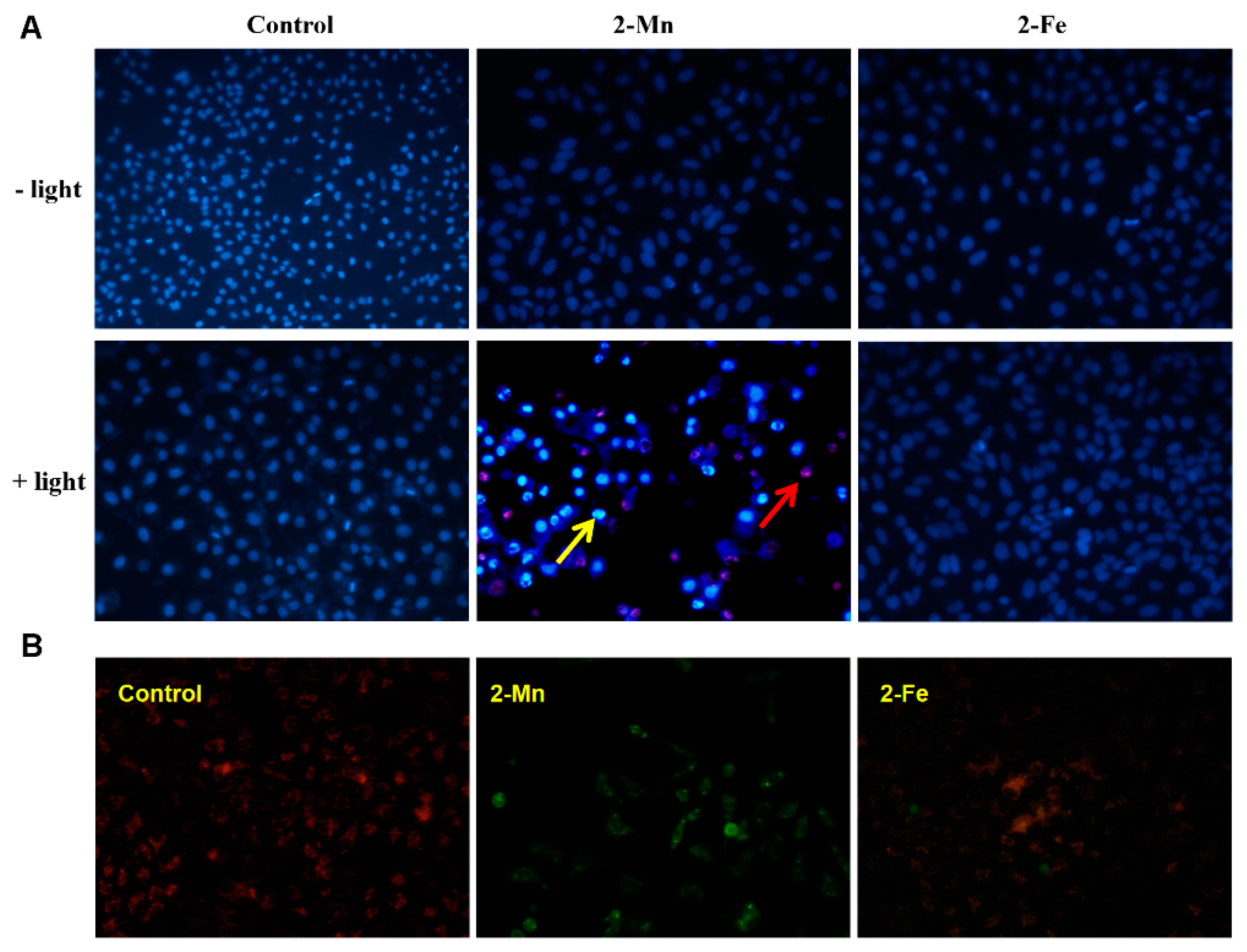Molecules 22 01084 g009 550