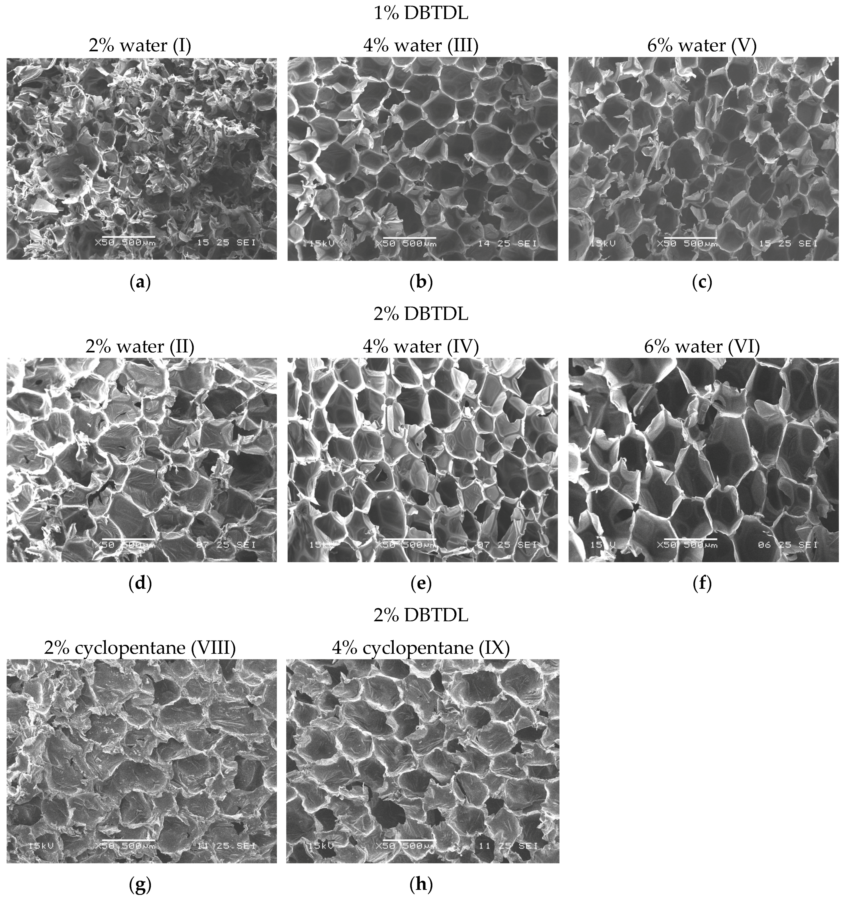 Molecules 22 01091 g006