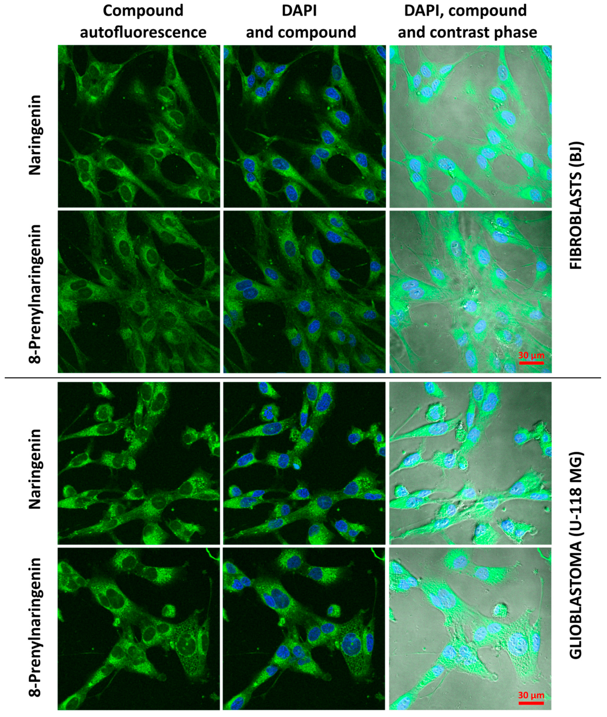 Molecules 22 01092 g003 550