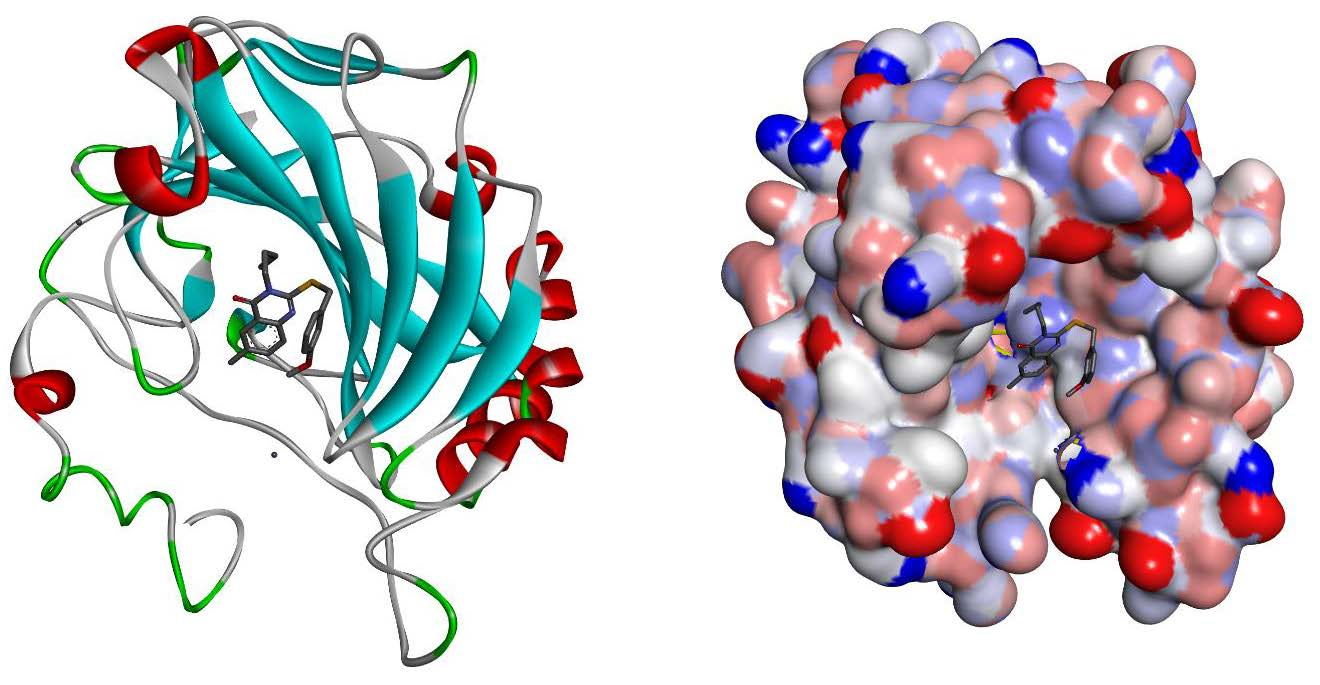 Molecular Docking and Anticonvulsant Activity of Newly Synthesized Quinazol...