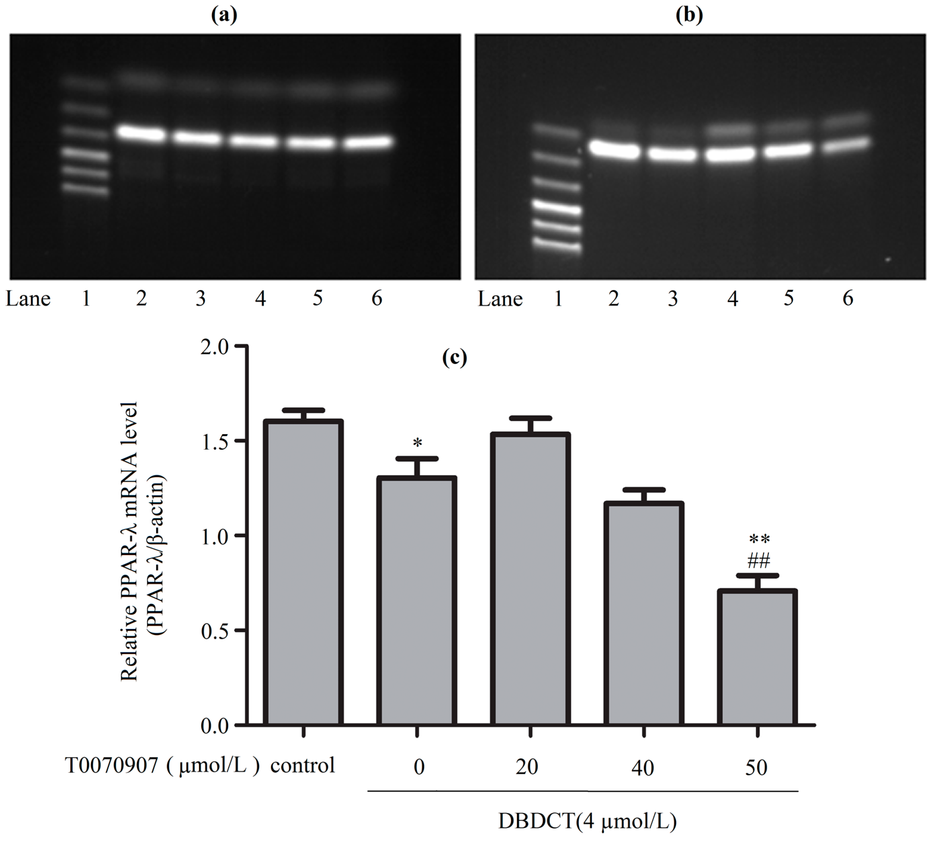 Molecules 22 01113 g008
