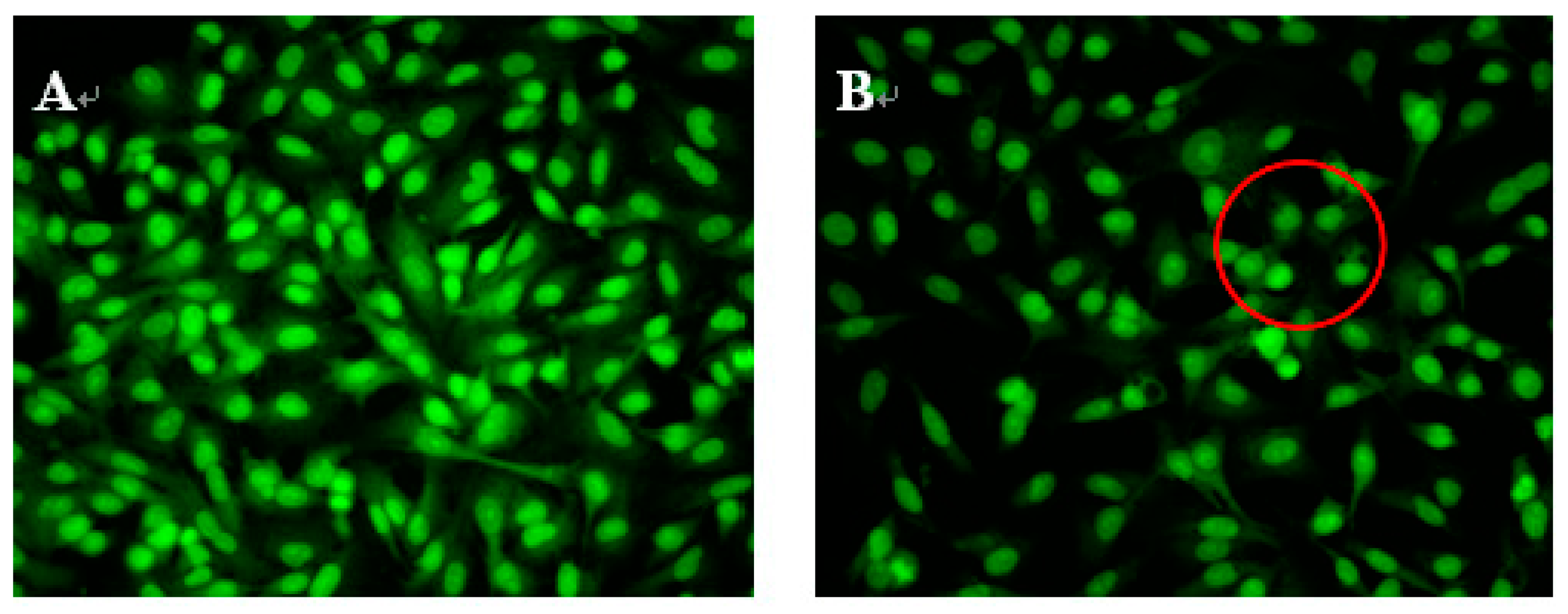Molecules 22 01123 g003a