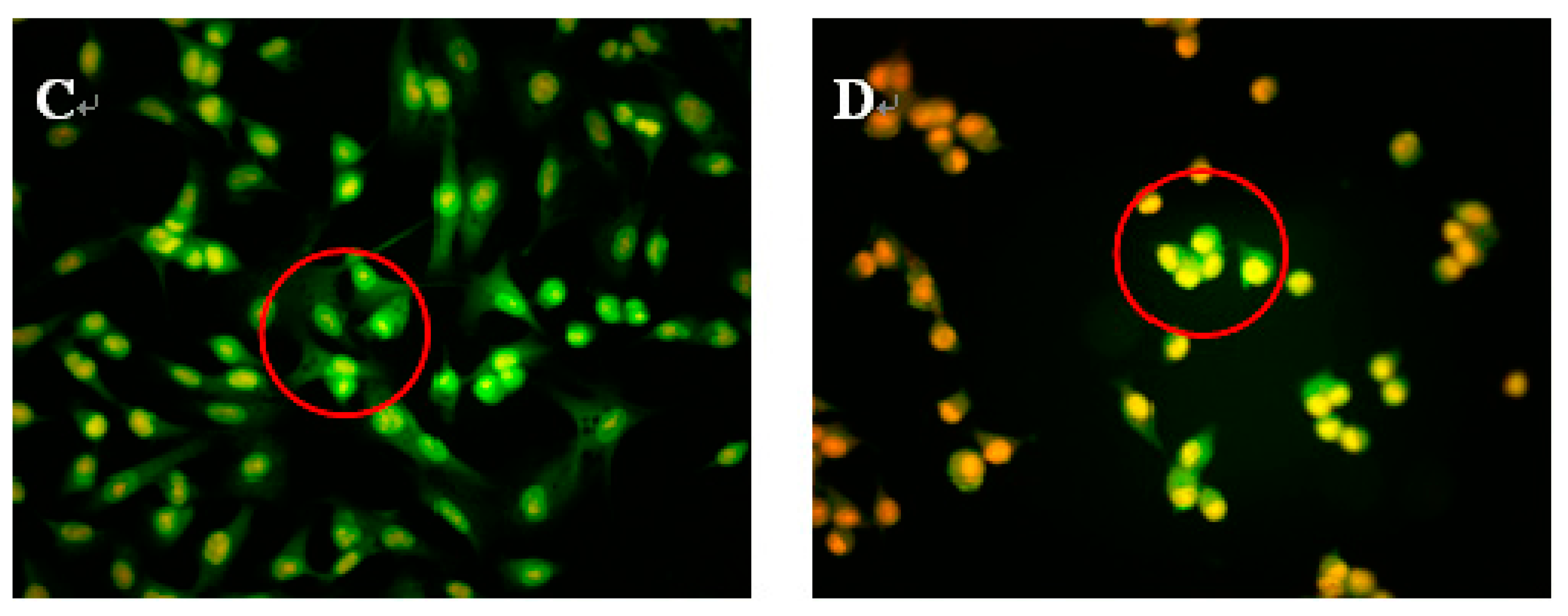Molecules 22 01123 g003b