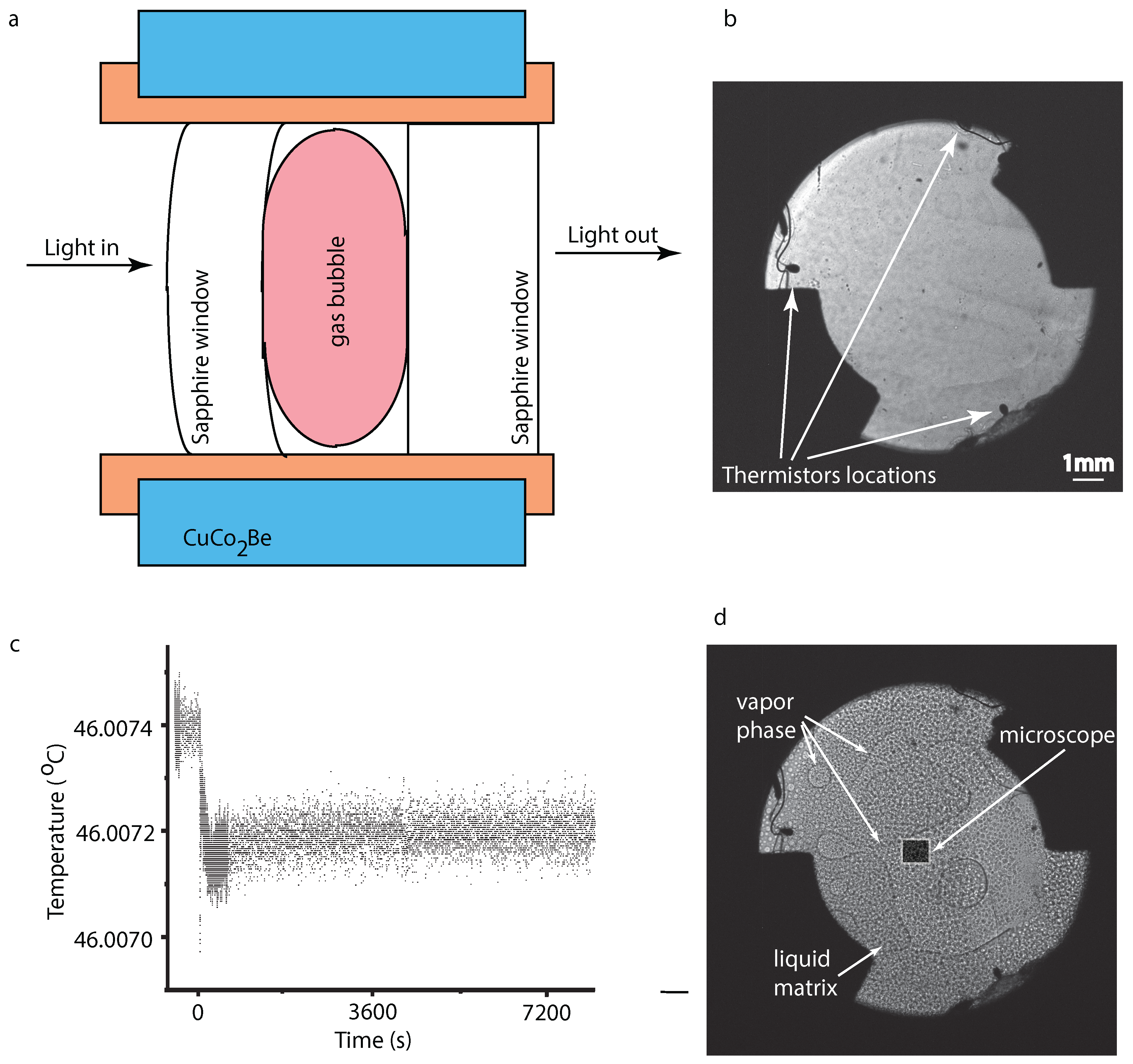 Molecules 22 01125 g001 550