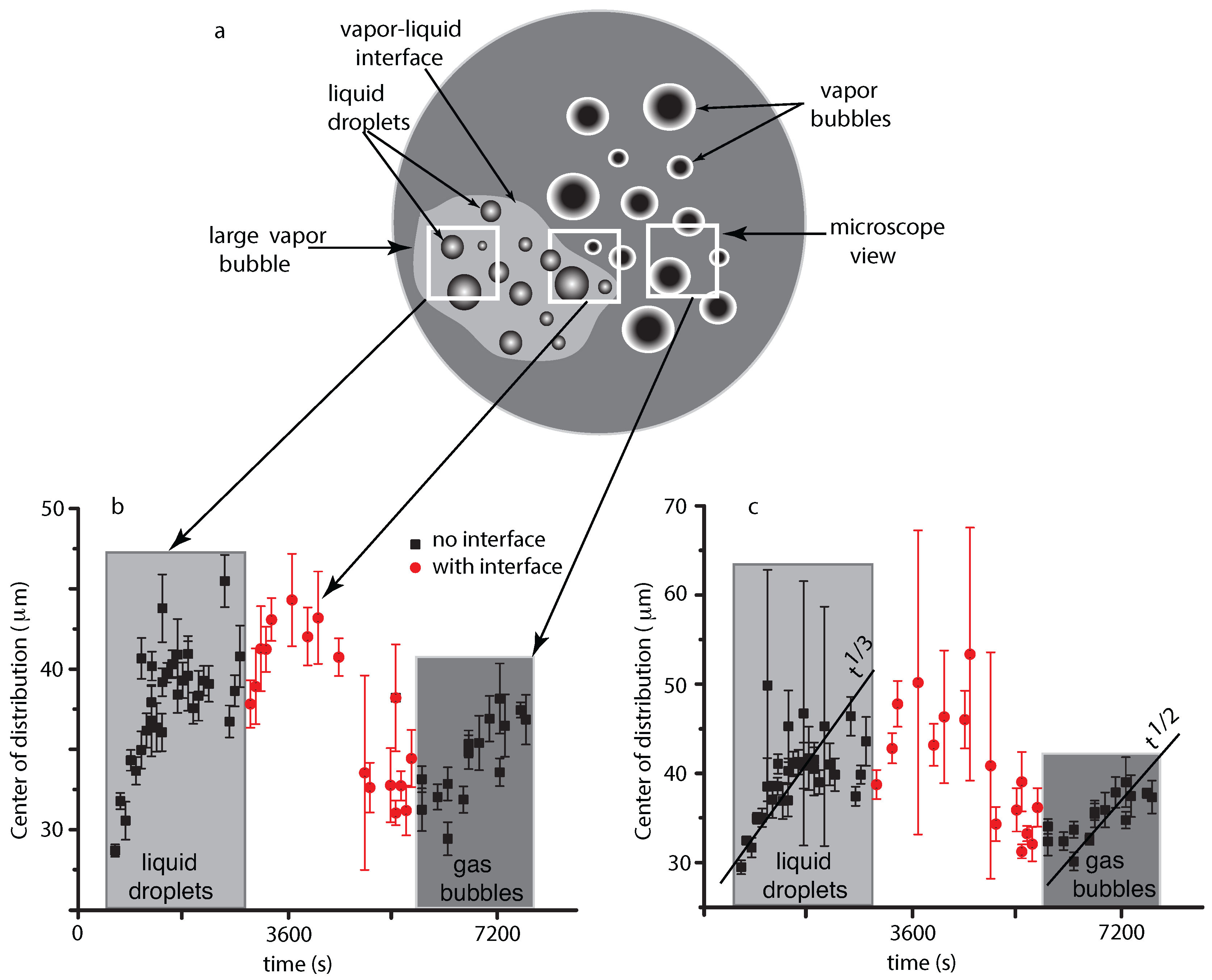 Molecules 22 01125 g004 550