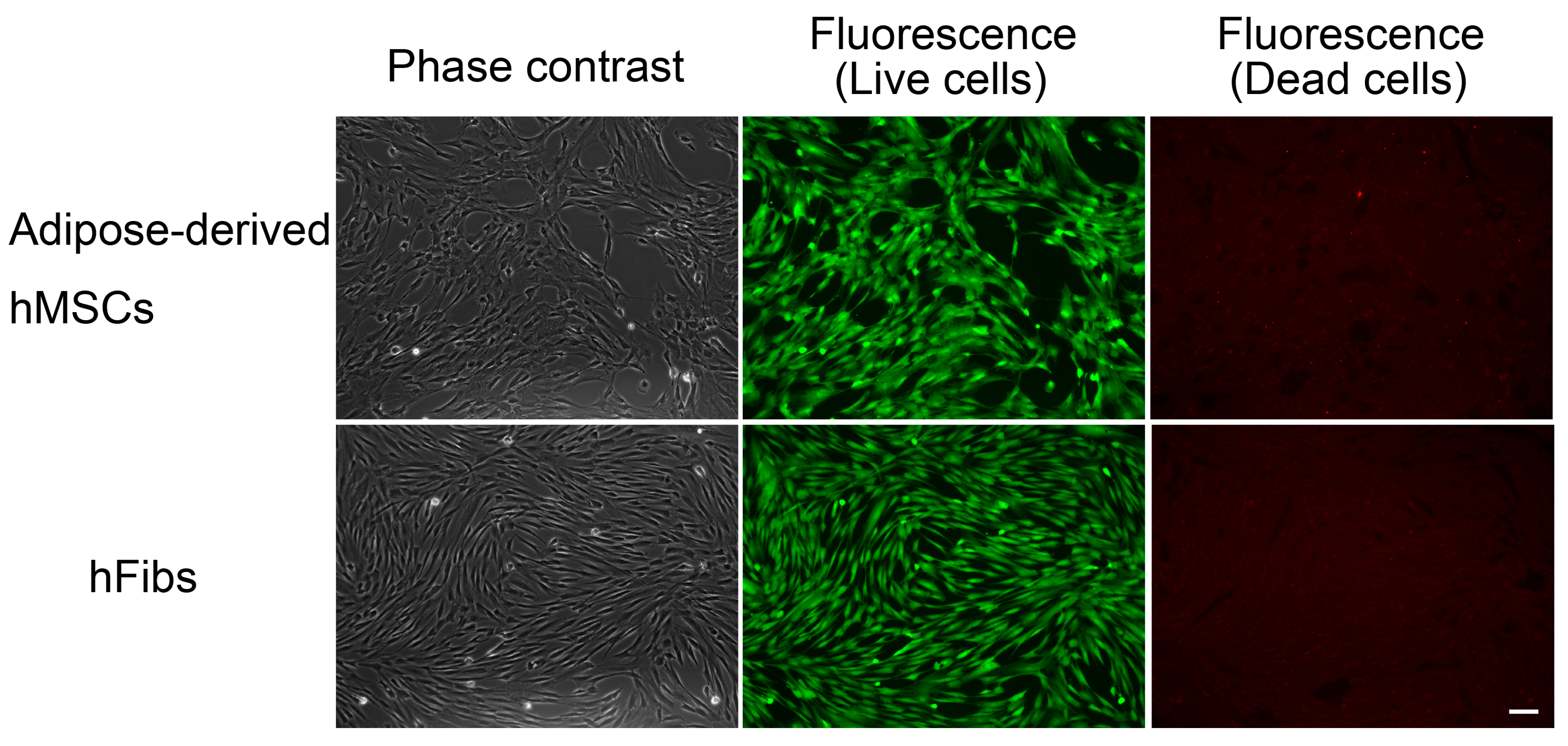 Molecules 22 01151 g005 550