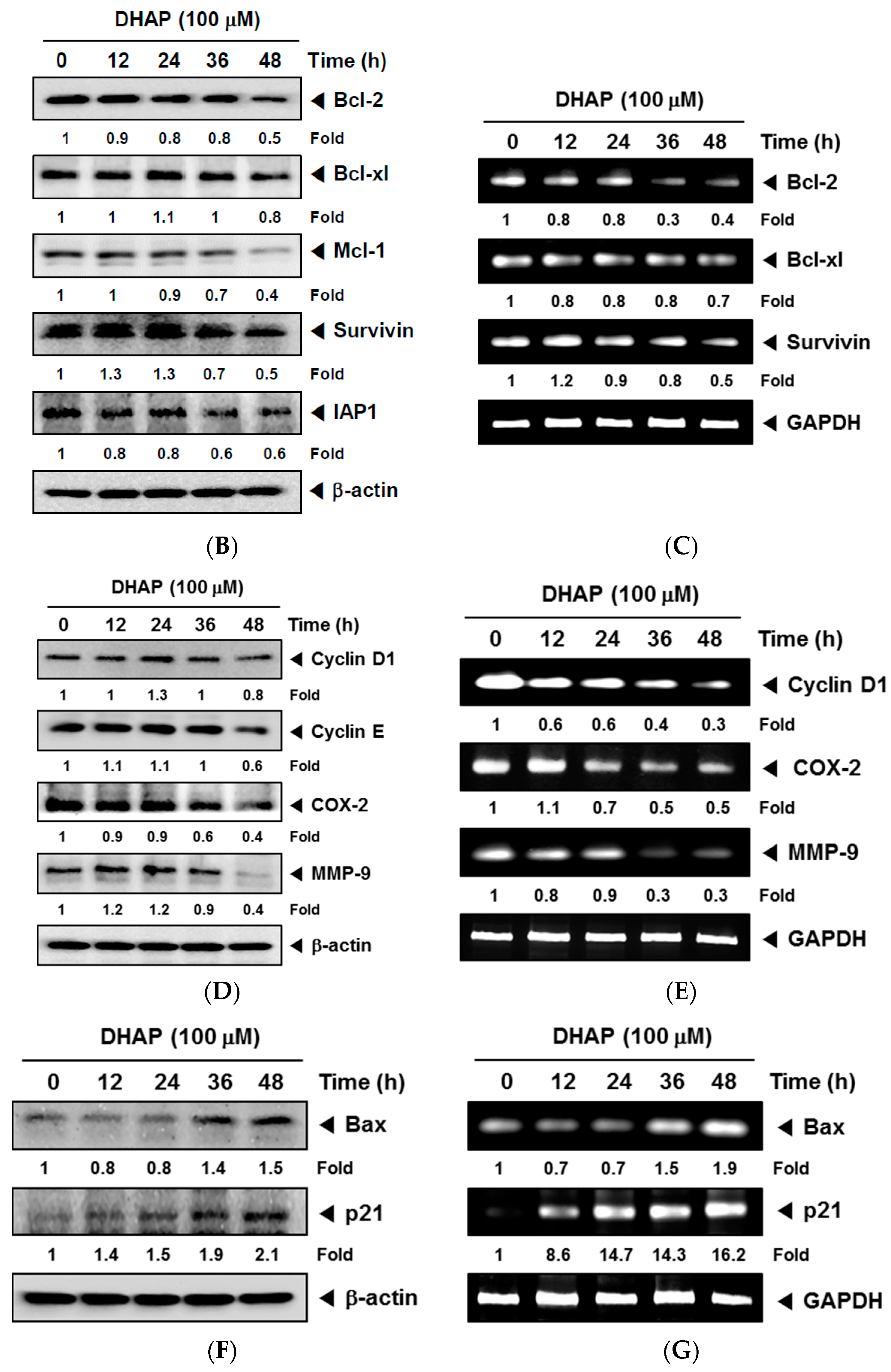 Molecules 22 01157 g001b