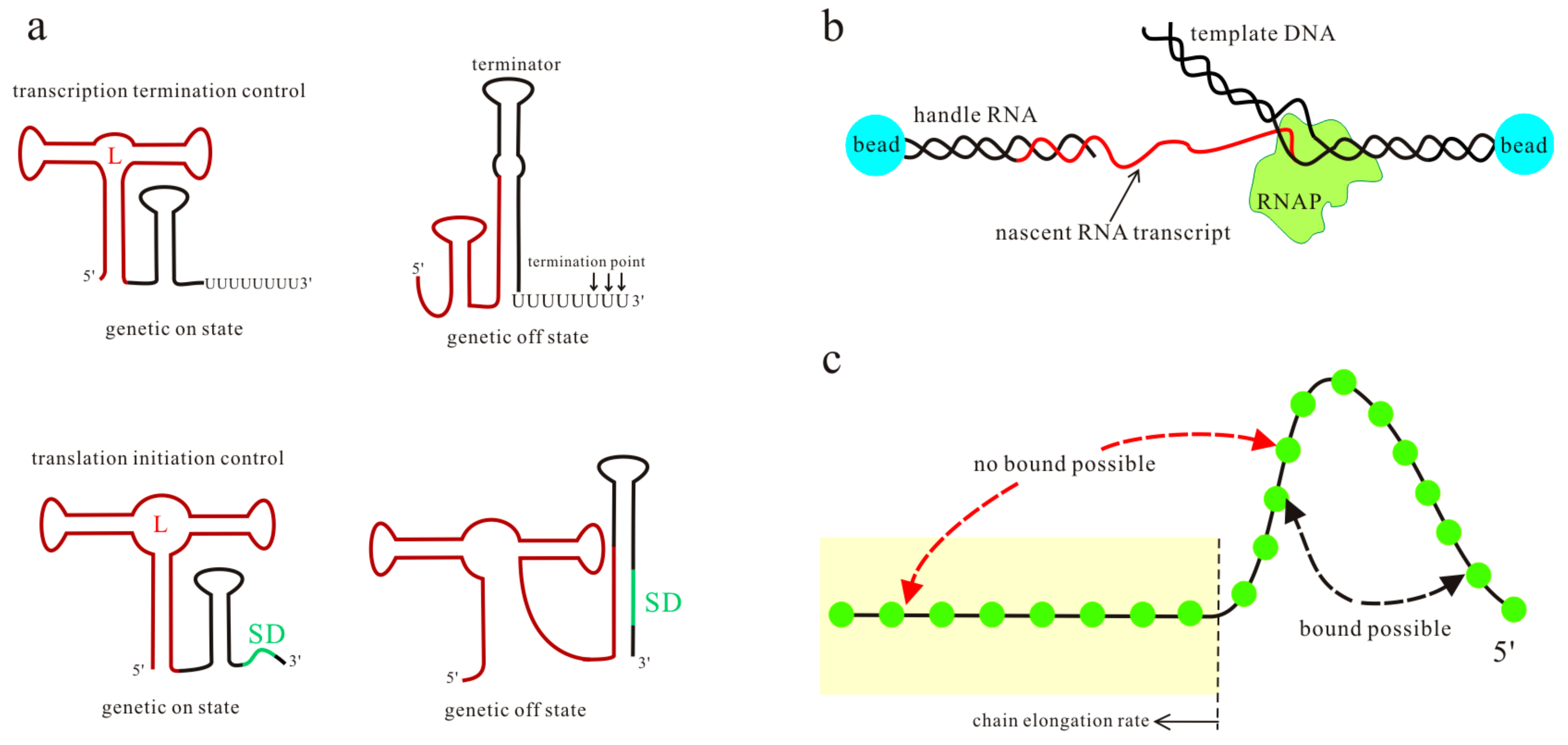 Molecules 22 01169 g001 550