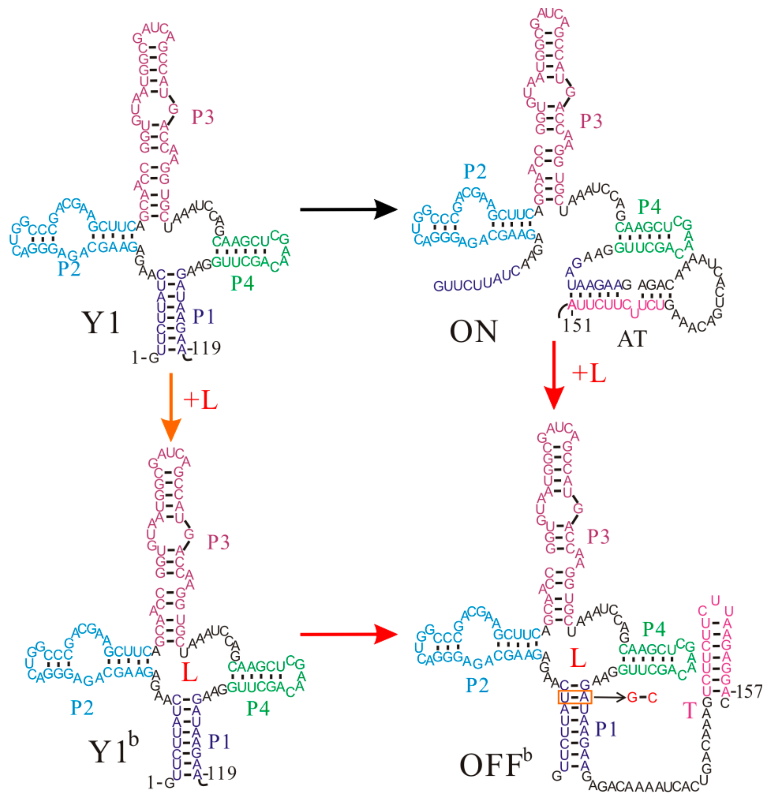 Molecules 22 01169 g004 550