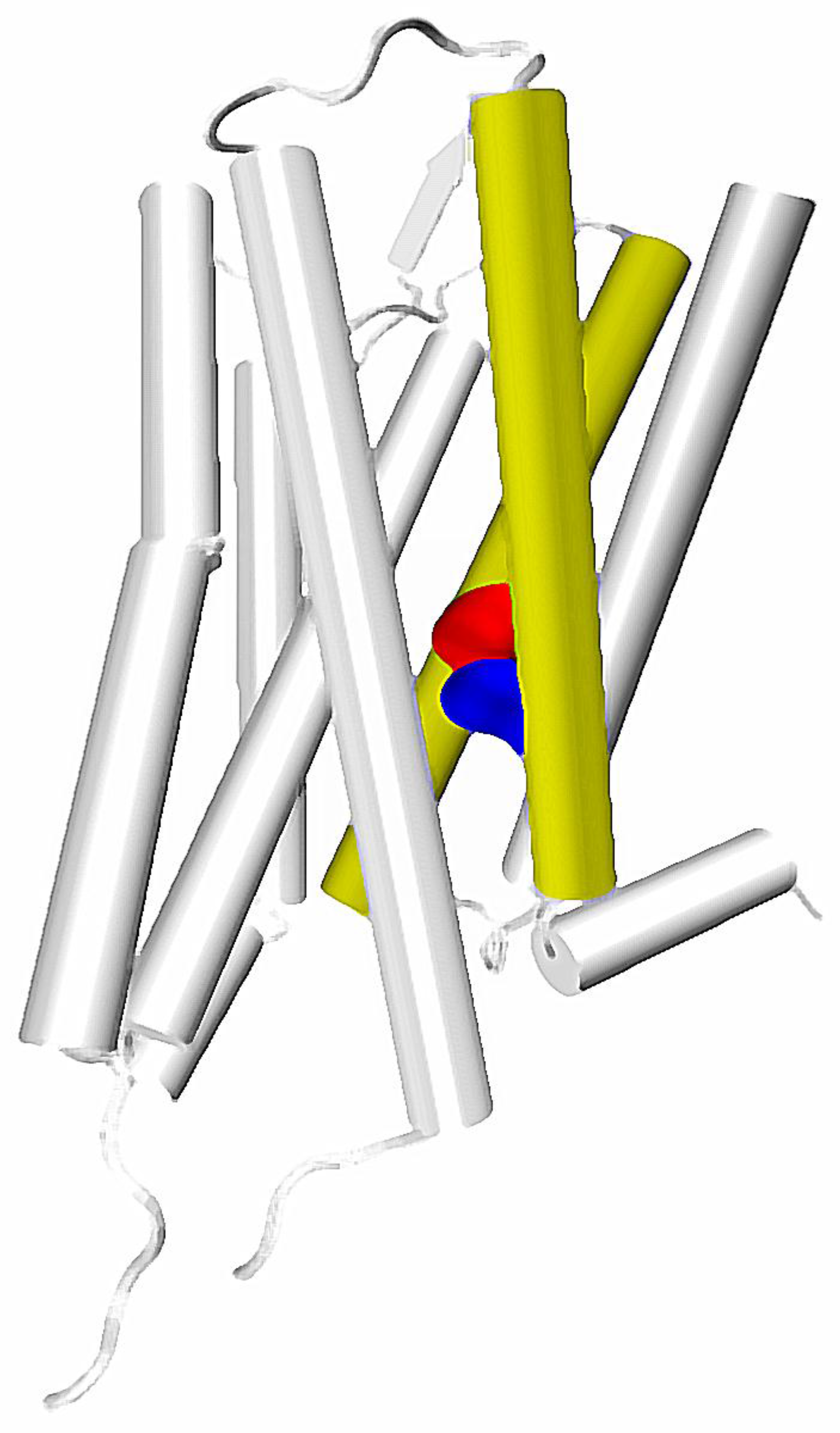 Molecules 22 01188 g002 550