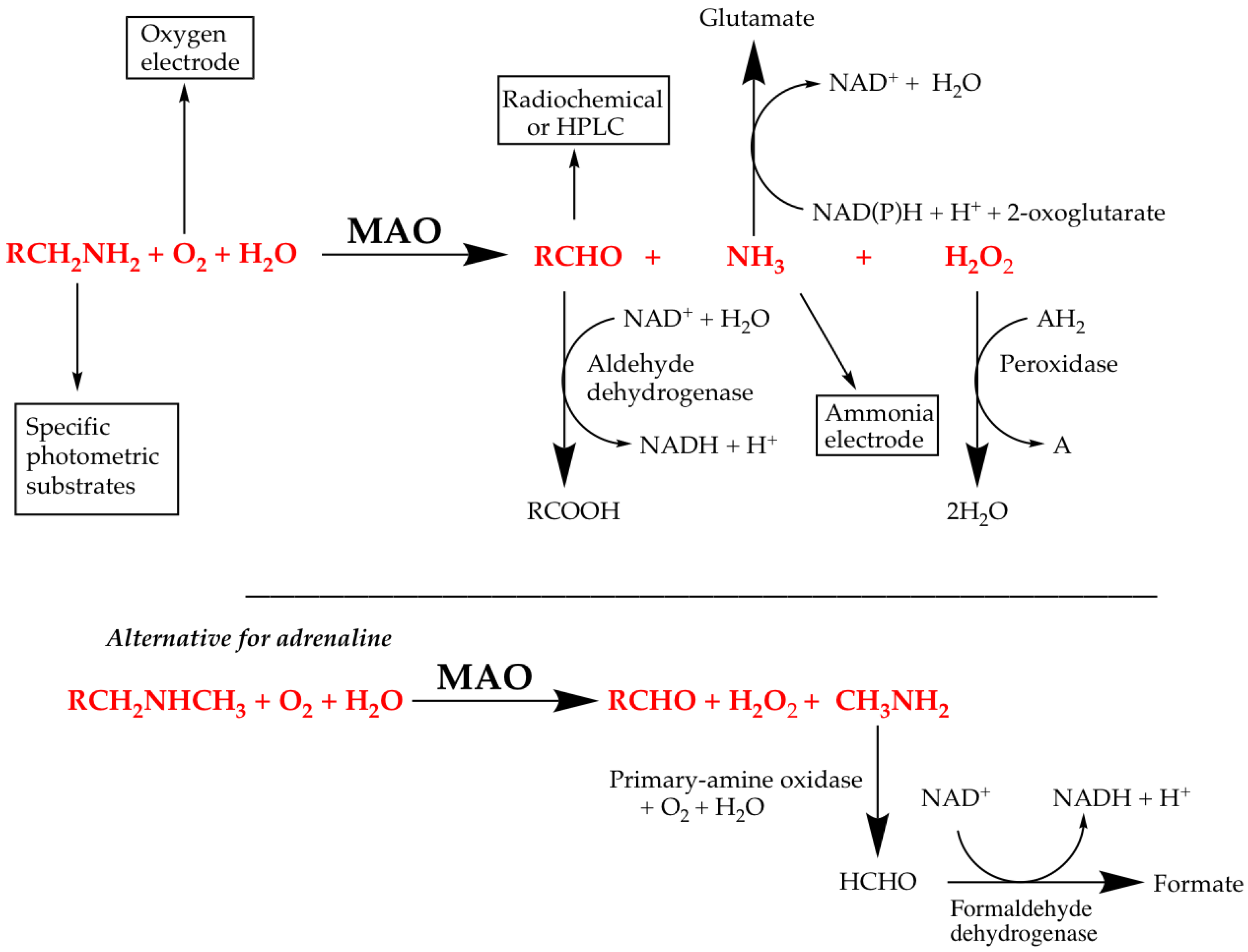 Molecules Free Full Text Assessment Of Enzyme Inhibition A Review With Examples From The Development Of Monoamine Oxidase And Cholinesterase Inhibitory Drugs Html