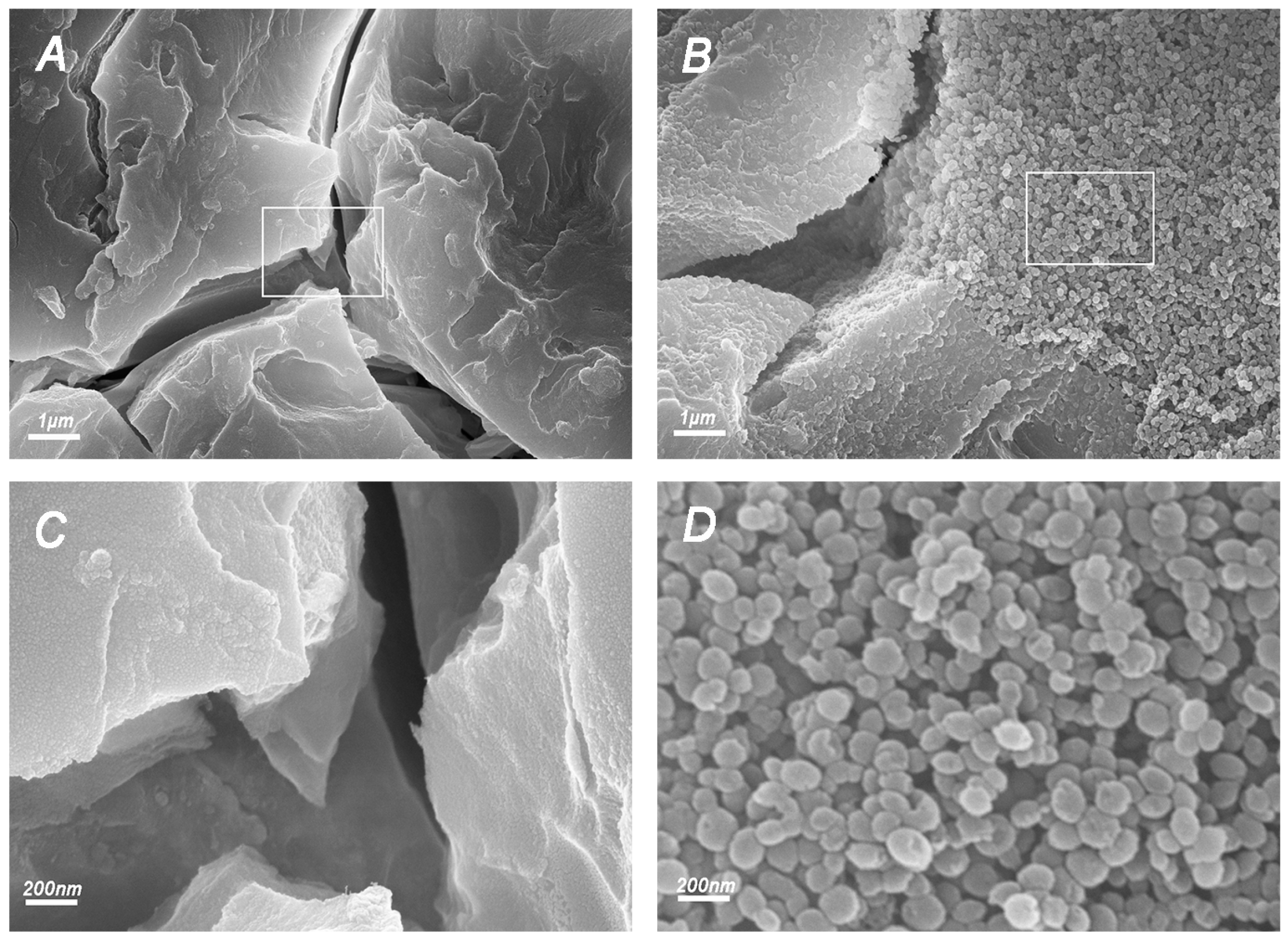Molecules 22 01225 g006 Molecules 22 01225 g006