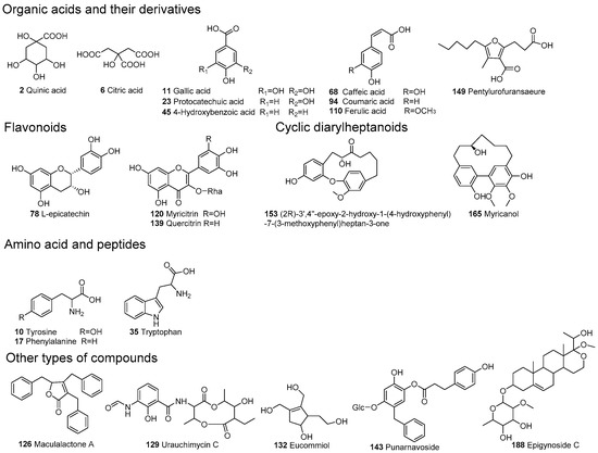 Naphthalene A Versatile Platform In Medicinal Chemistry Sky High