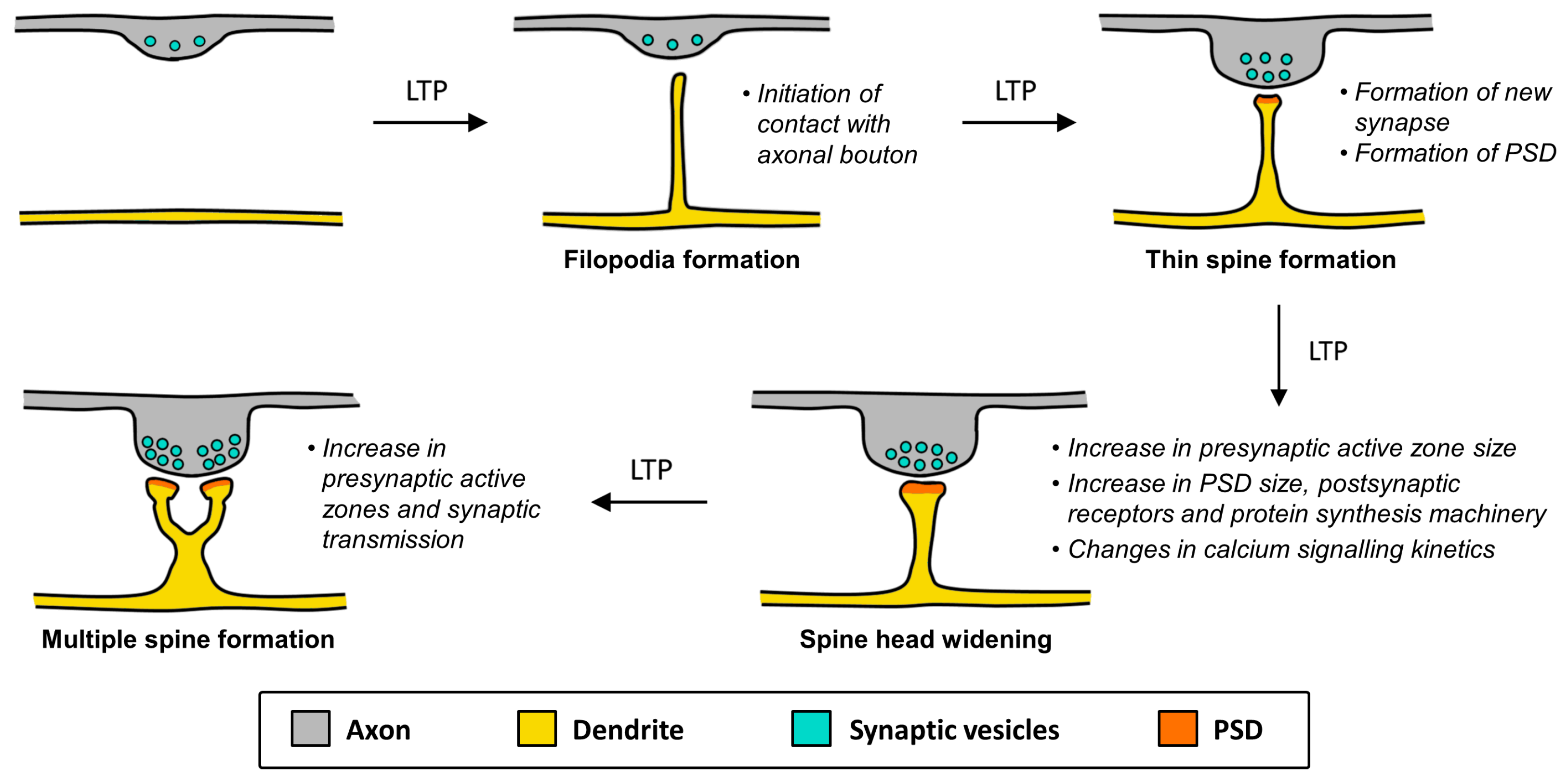 molecules free full text role of g protein coupled receptors in g protein coupled receptors