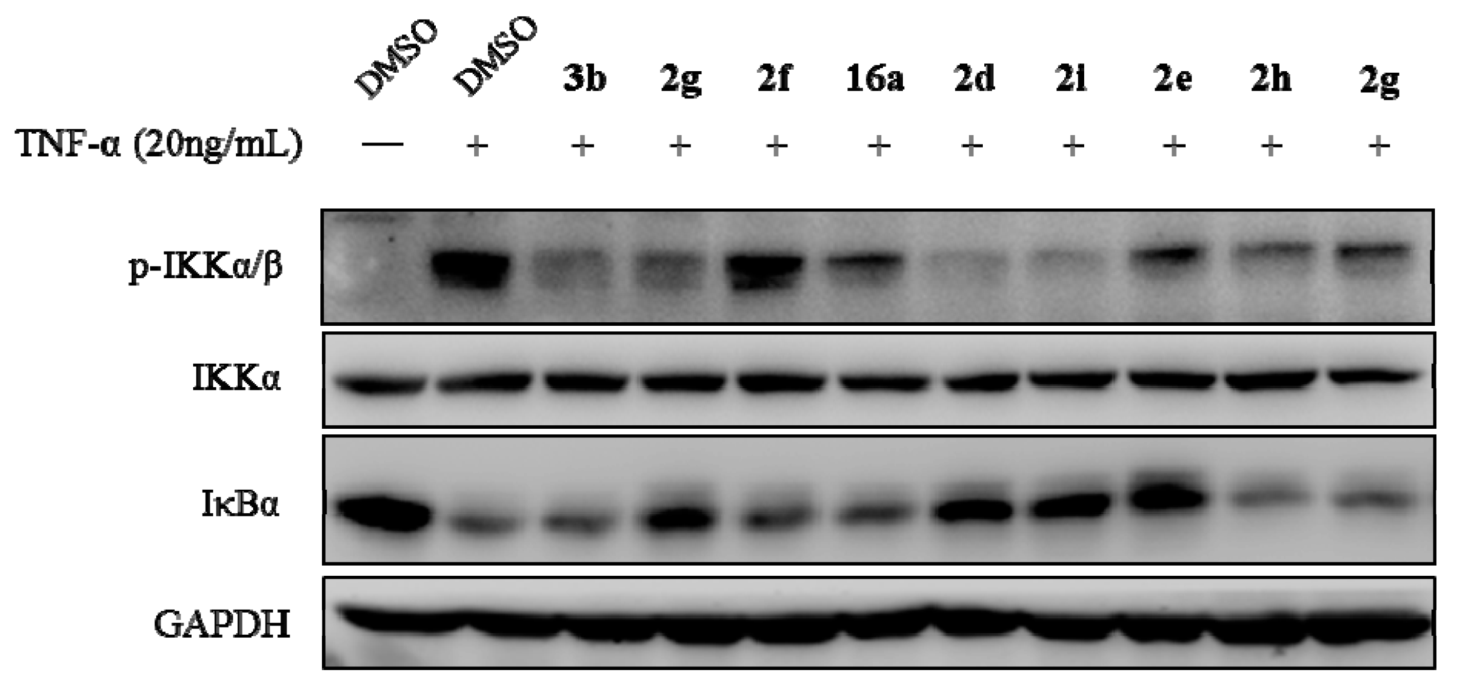 Molecules 22 01257 g003