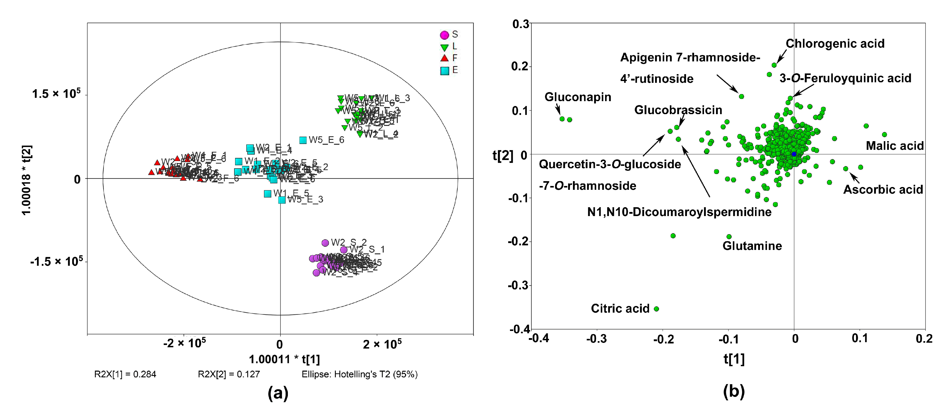 Molecules Free Full Text Evaluation Of The Nutritional Quality Of Chinese Kale Brassica Alboglabra Bailey Using Uhplc Quadrupole Orbitrap Ms Ms Based Metabolomics Html