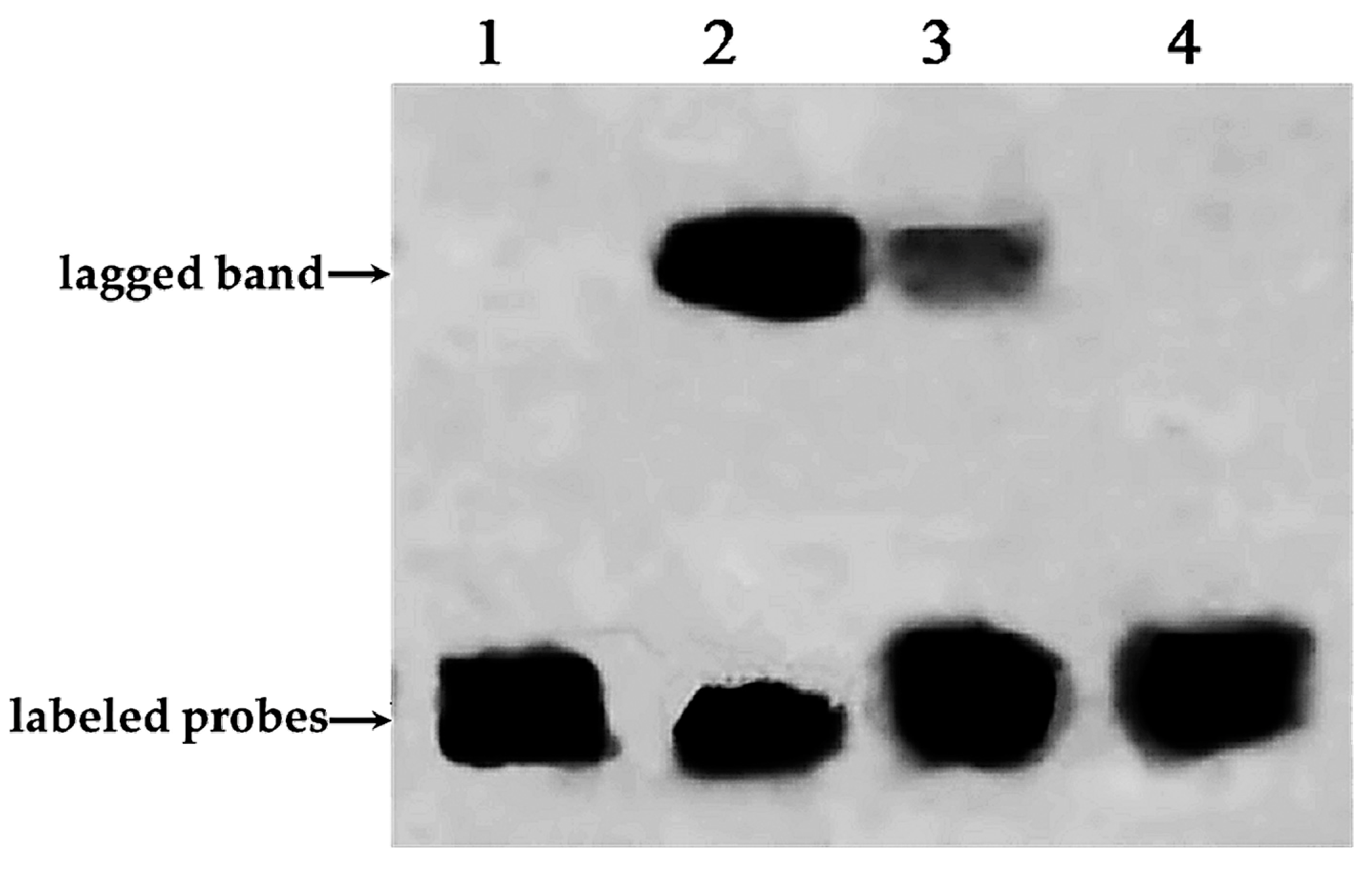 Molecules 22 01268 g006 550