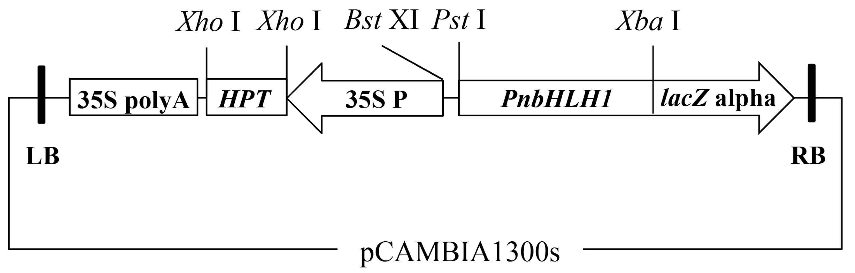 Molecules 22 01268 g010 550