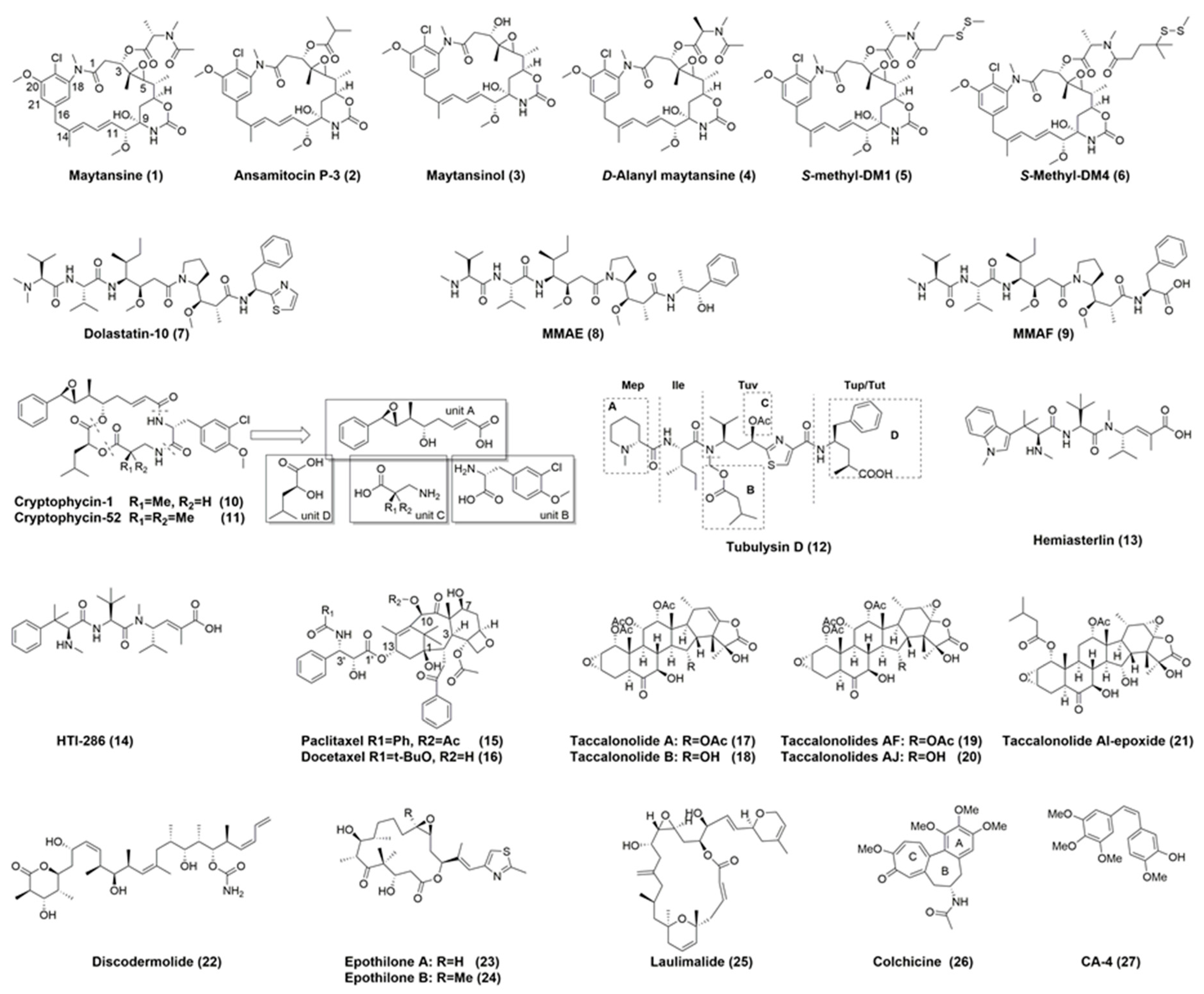 Molecules 22 01281 g005