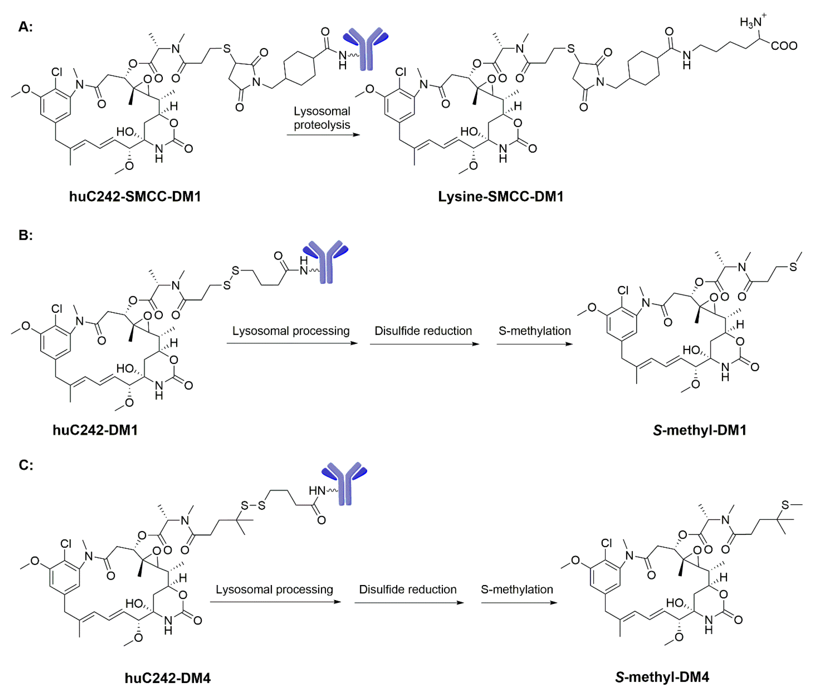 Molecules 22 01281 sch003
