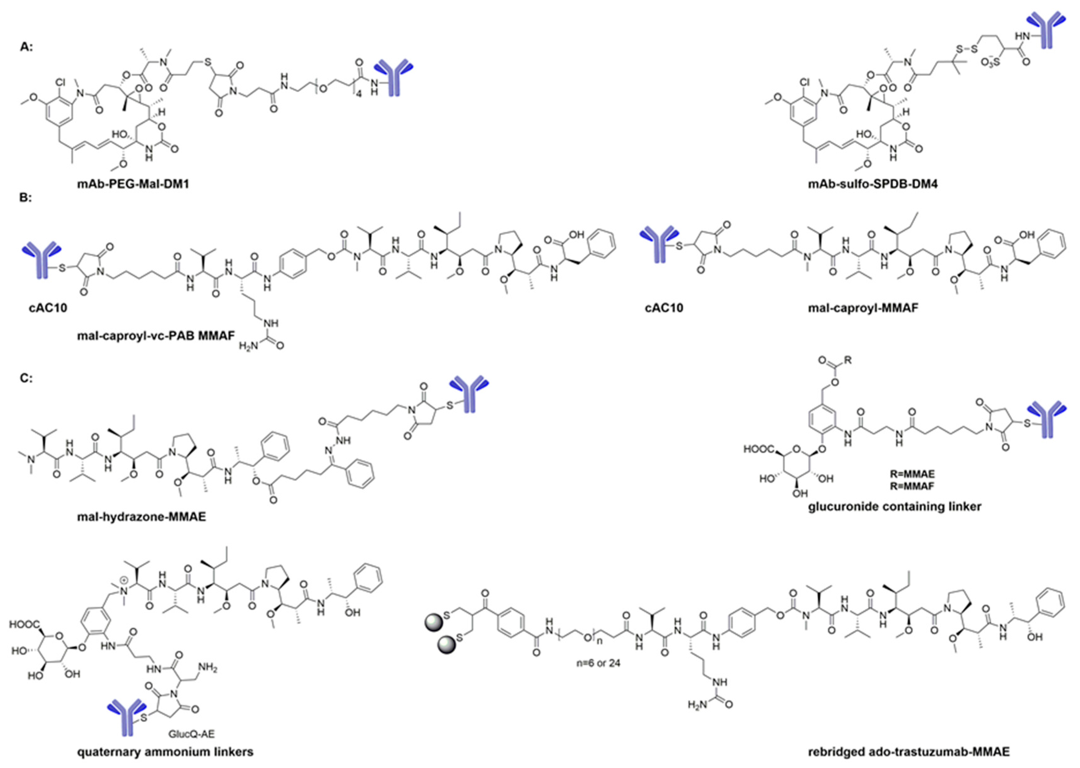 Molecules 22 01281 sch004